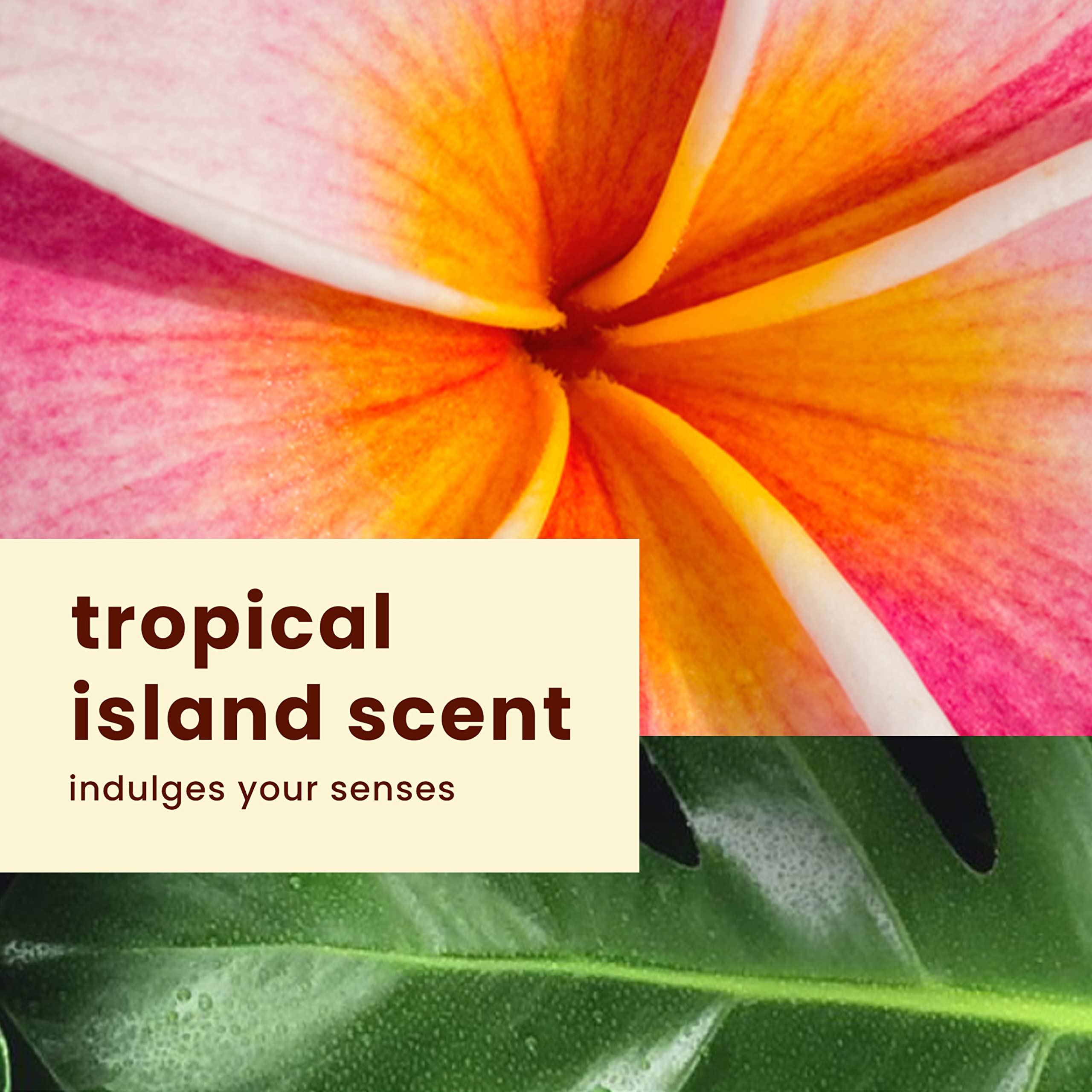 Foto 8 pulgar | Crema Solar Hawaiian Tropic Sheer Touch Lotion Spf 30 240 Ml - Venta Internacional.