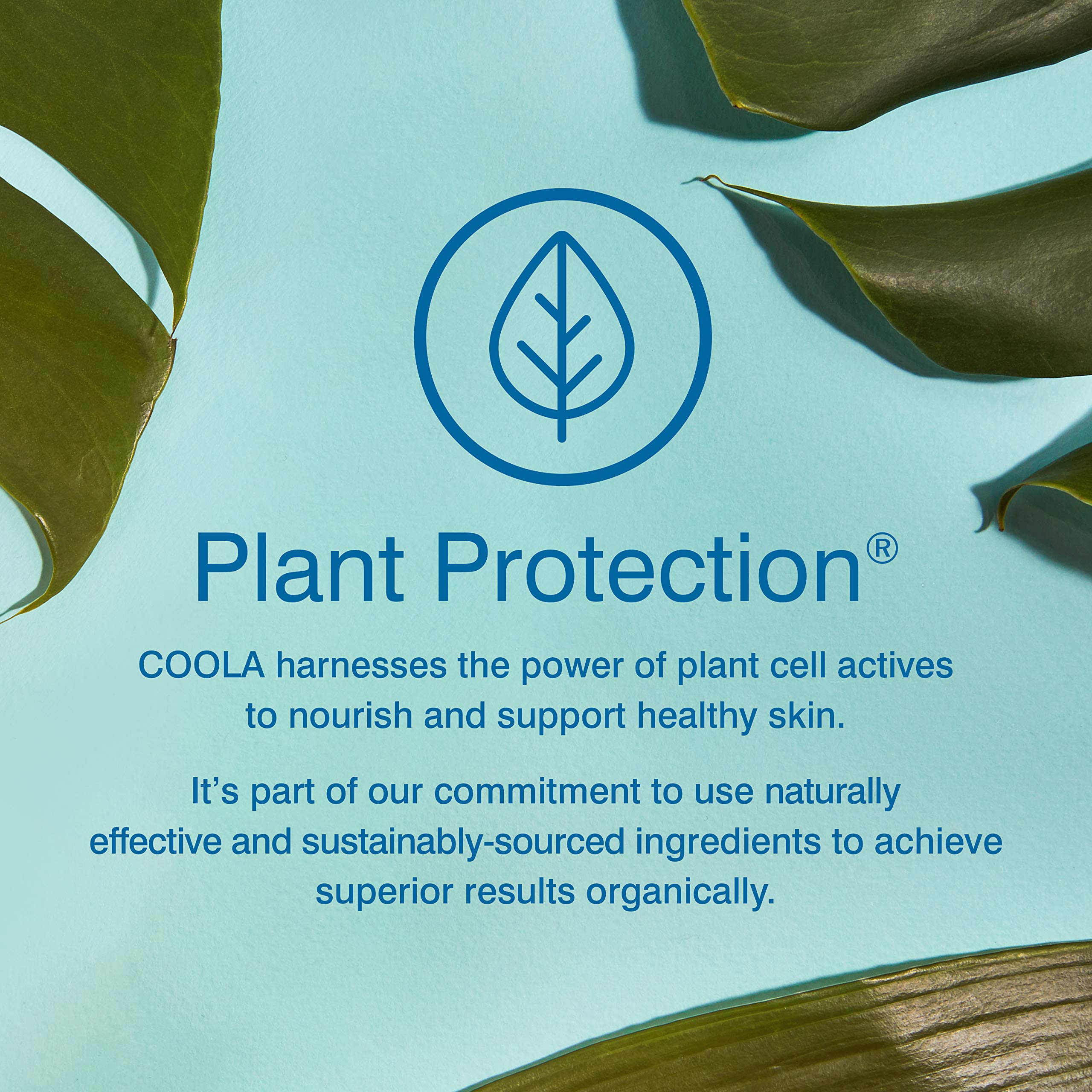 Foto 4 pulgar | Loción De Protección Solar Coola Organic Mineral Spf 50, 100 Ml, Tamaño De Viaje - Venta Internacional.