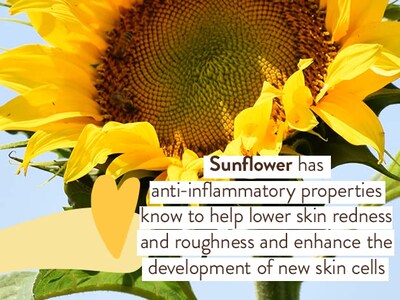 Foto 7 | Protector Solar En Aerosol Babo Botanicals Swim & Sport Spf 30 - Venta Internacional.