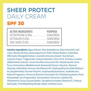 Foto 3 | Crema De Protección Solar Seaweed Bath Co. Sheer Protect Spf 30 100 Ml - Venta Internacional.