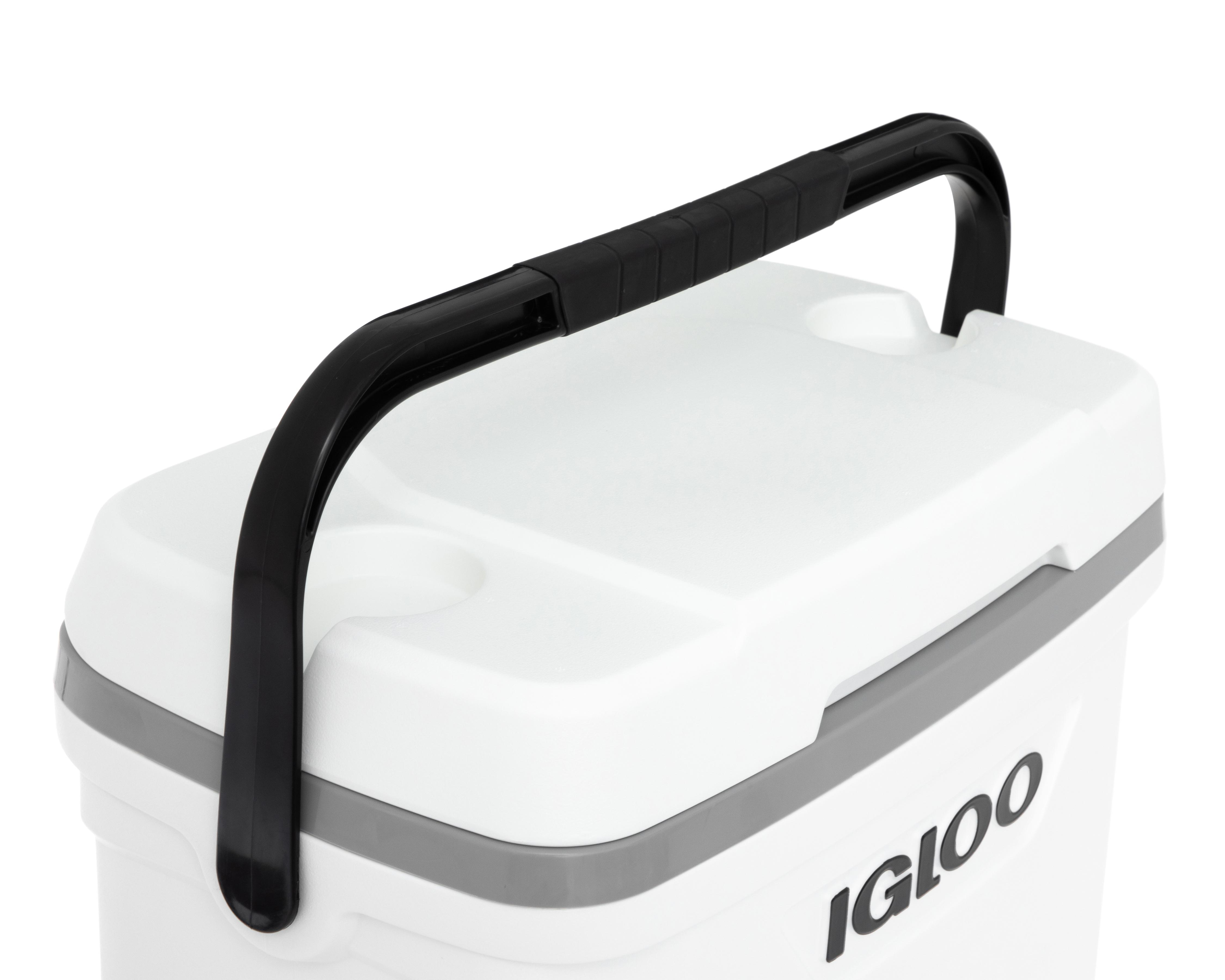 Foto 6 | Hielera Igloo 28 L