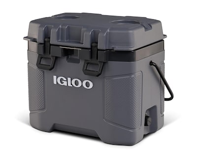Foto 1 | Hielera Igloo 38 Latas