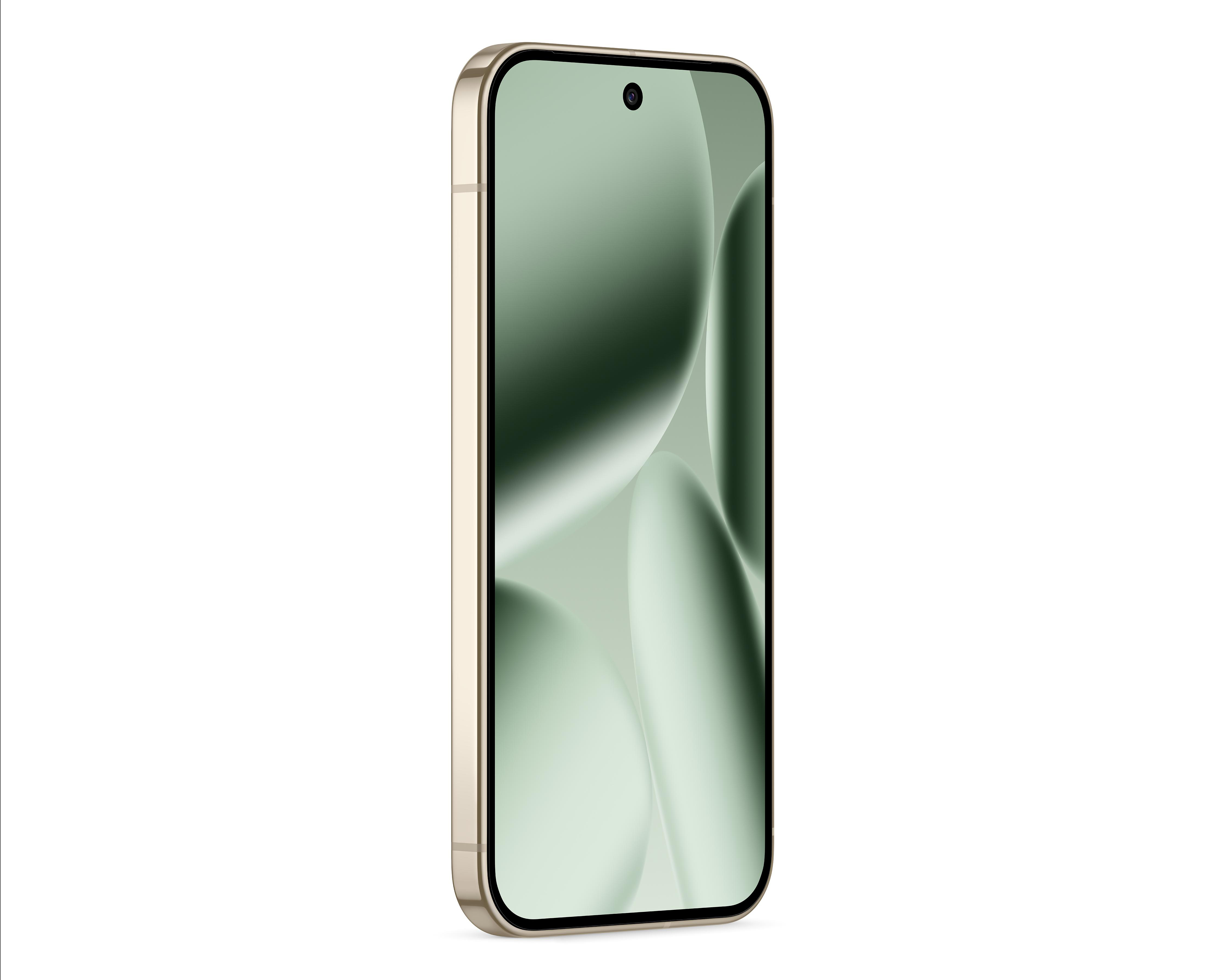 Foto 6 | Preventa Celular Google Pixel 10 Pro Liberado 256 GB Verde
