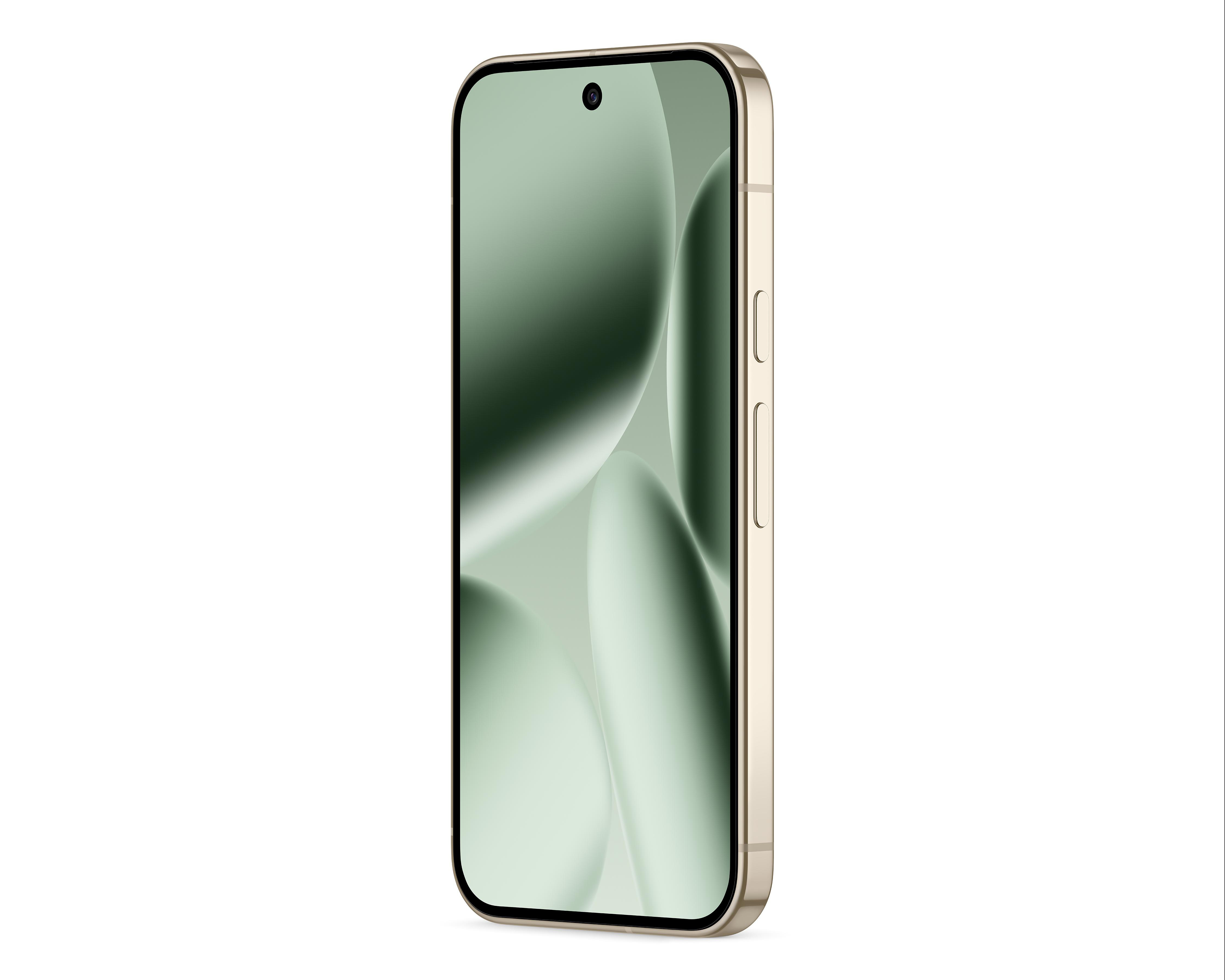 Foto 7 | Preventa Celular Google Pixel 10 Pro Liberado 256 GB Verde
