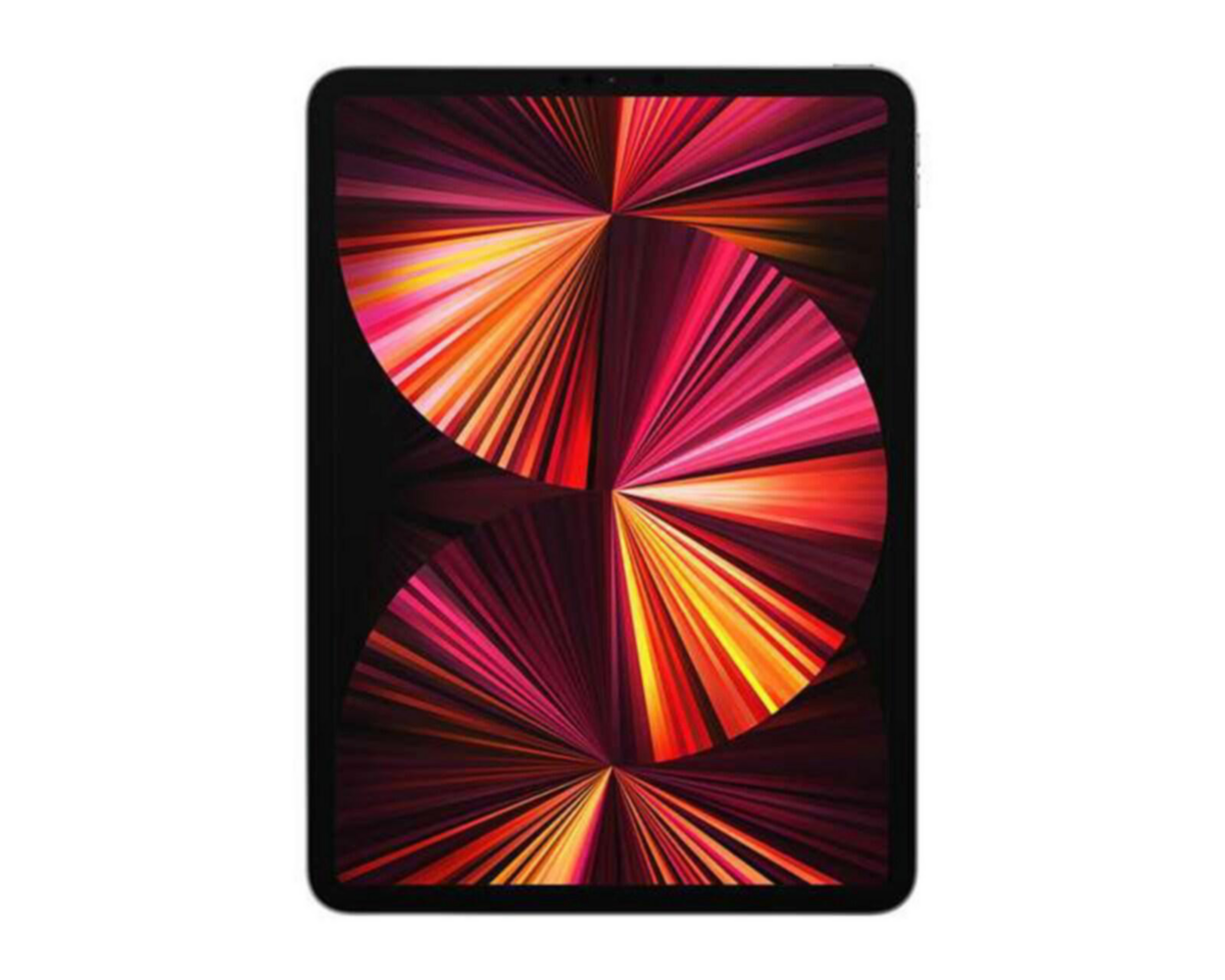 iPad Pro 11" 1 TB iPadOS Gris Espacial