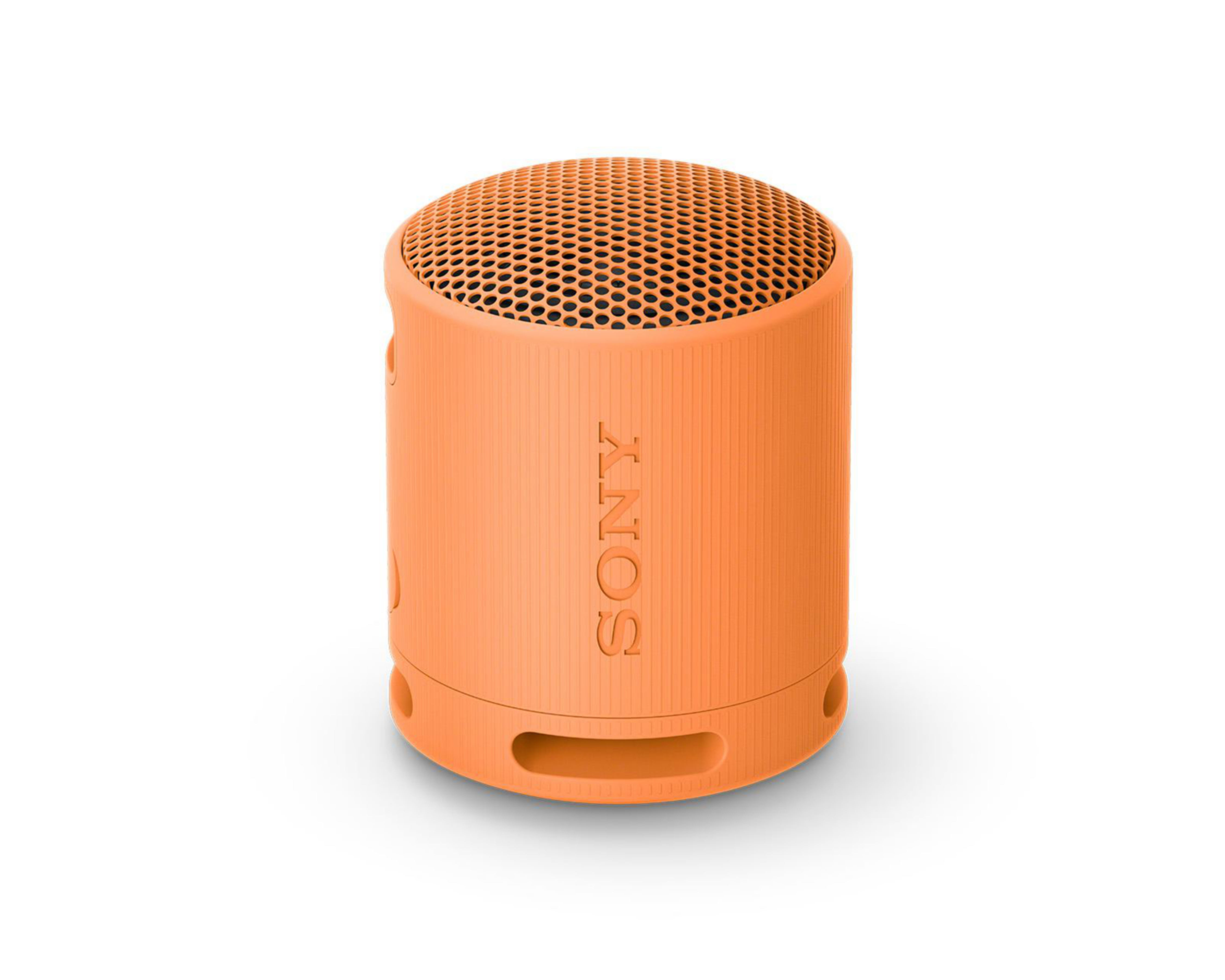 Bocina Bluetooth Portátil Sony SRS-XB100 Resistente al Agua y Polvo