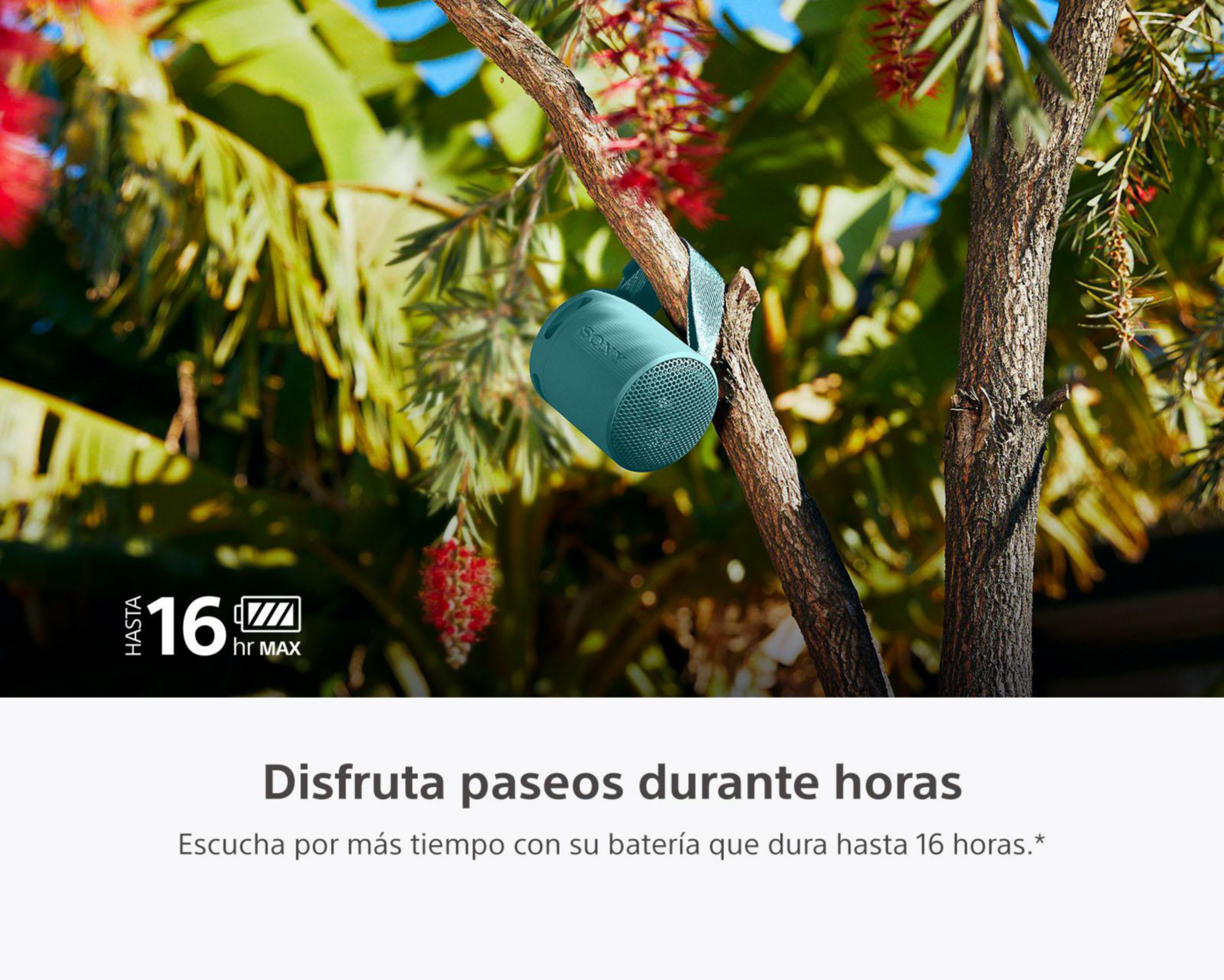 Foto 4 | Bocina Bluetooth Portátil Sony SRS-XB100/LCLA Resistente al Agua y Polvo