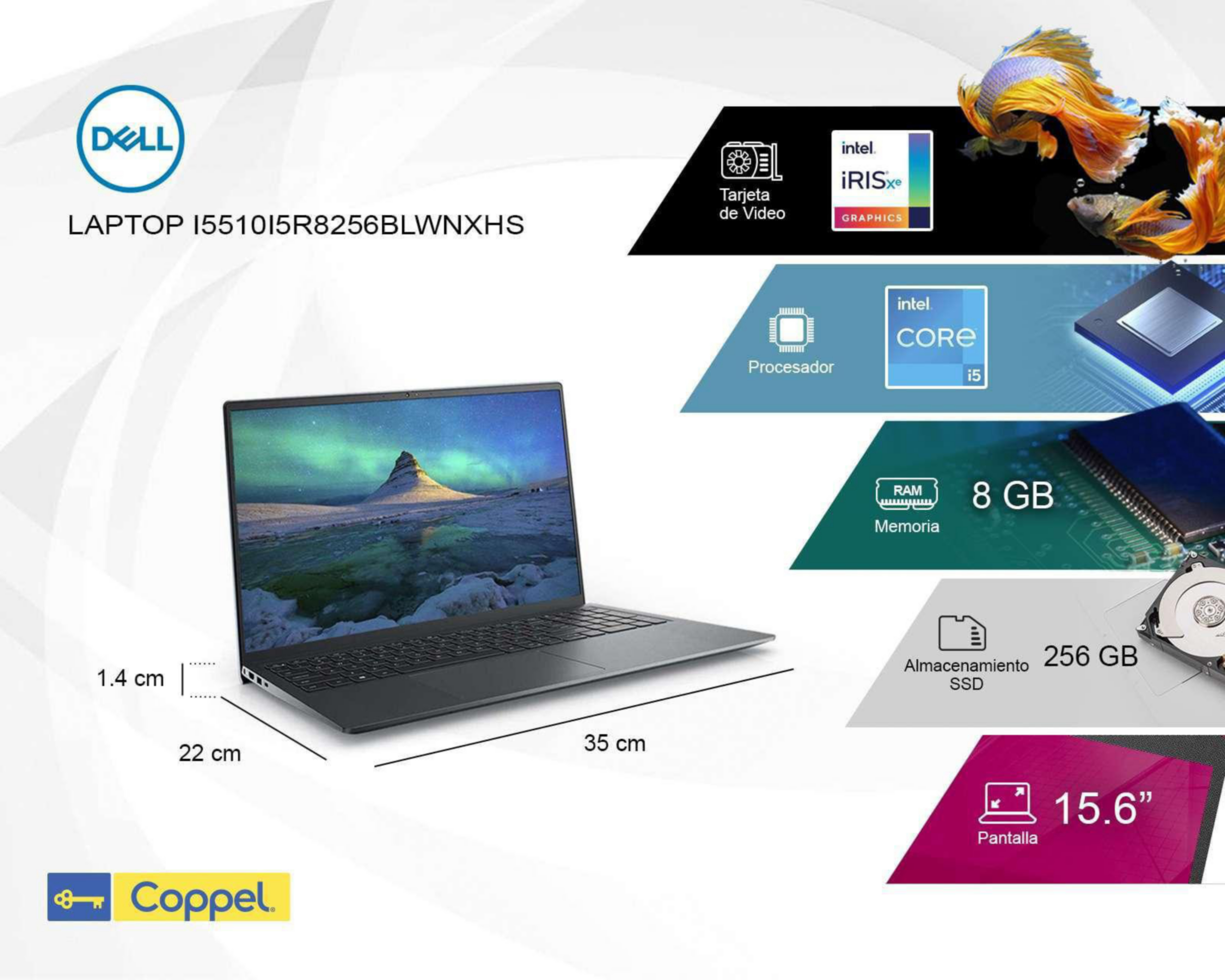 Foto 8 pulgar | Laptop Dell Inspiron 5000 15.6" Windows 11 Home Intel Core i5 8 GB RAM de 256 GB SSD Azul