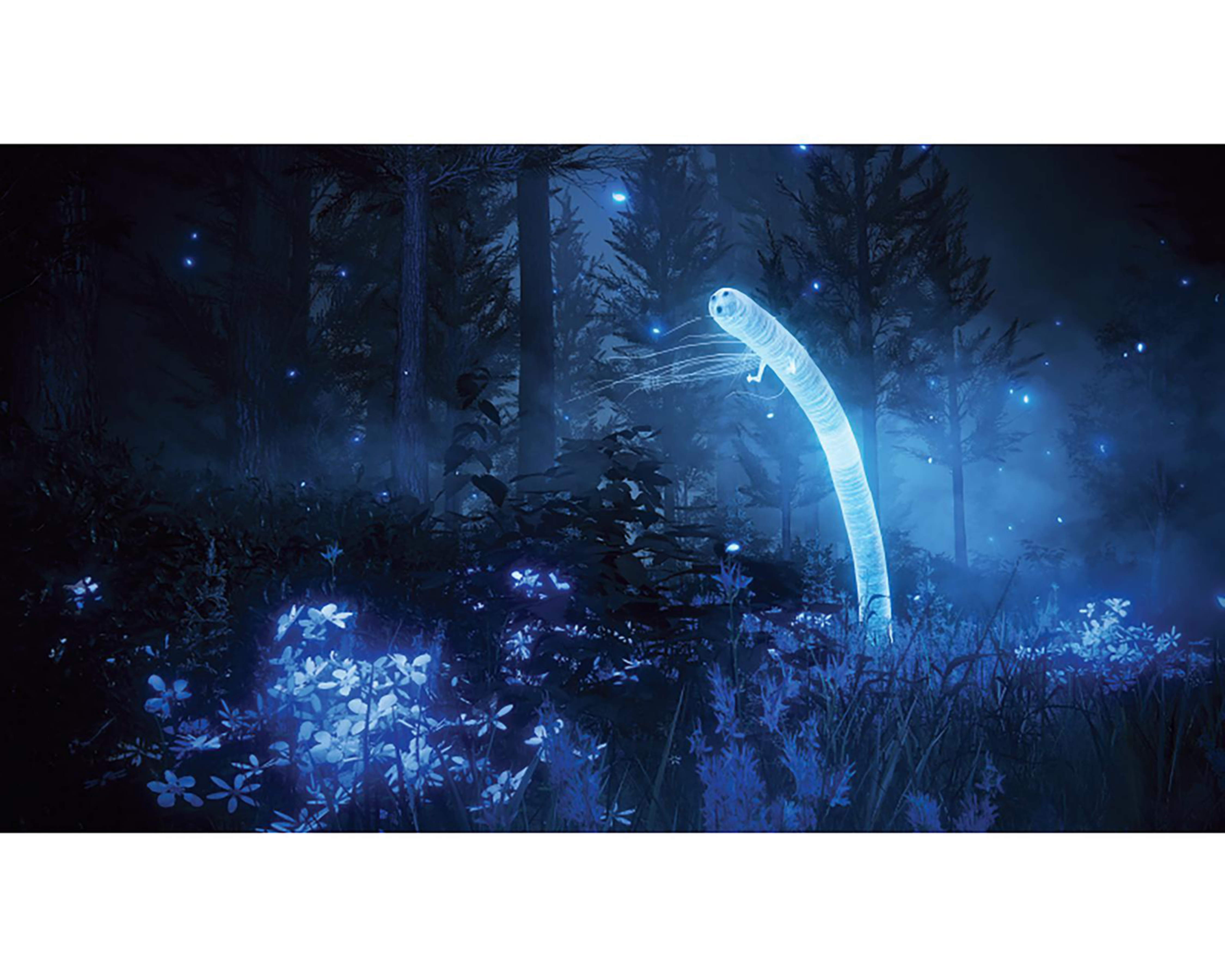 Foto 5 pulgar | Elden Ring: Shadow Of The Erdtree Edition para Xbox Series X