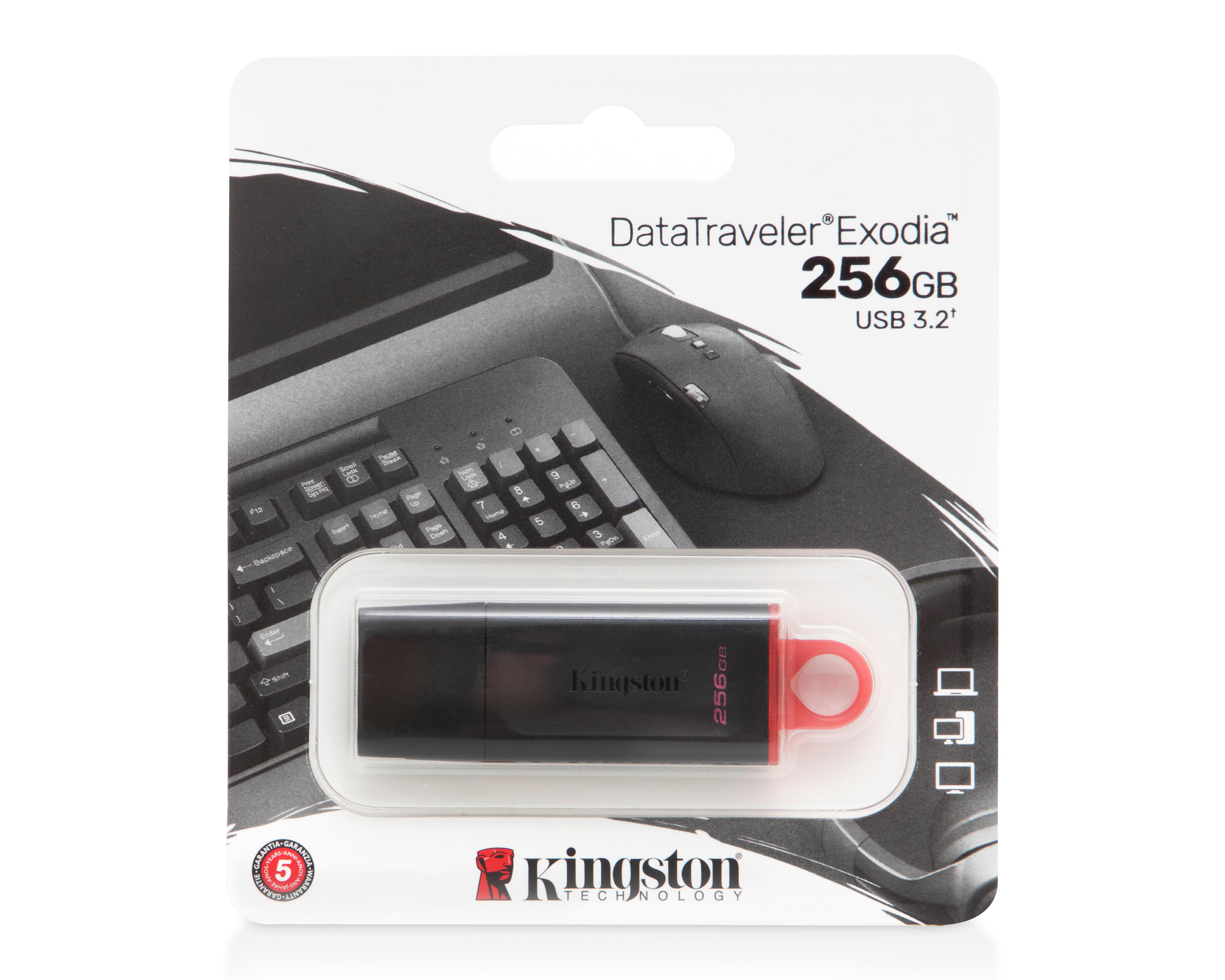 Memoria USB Kingstone 256 GB 3.2 $529