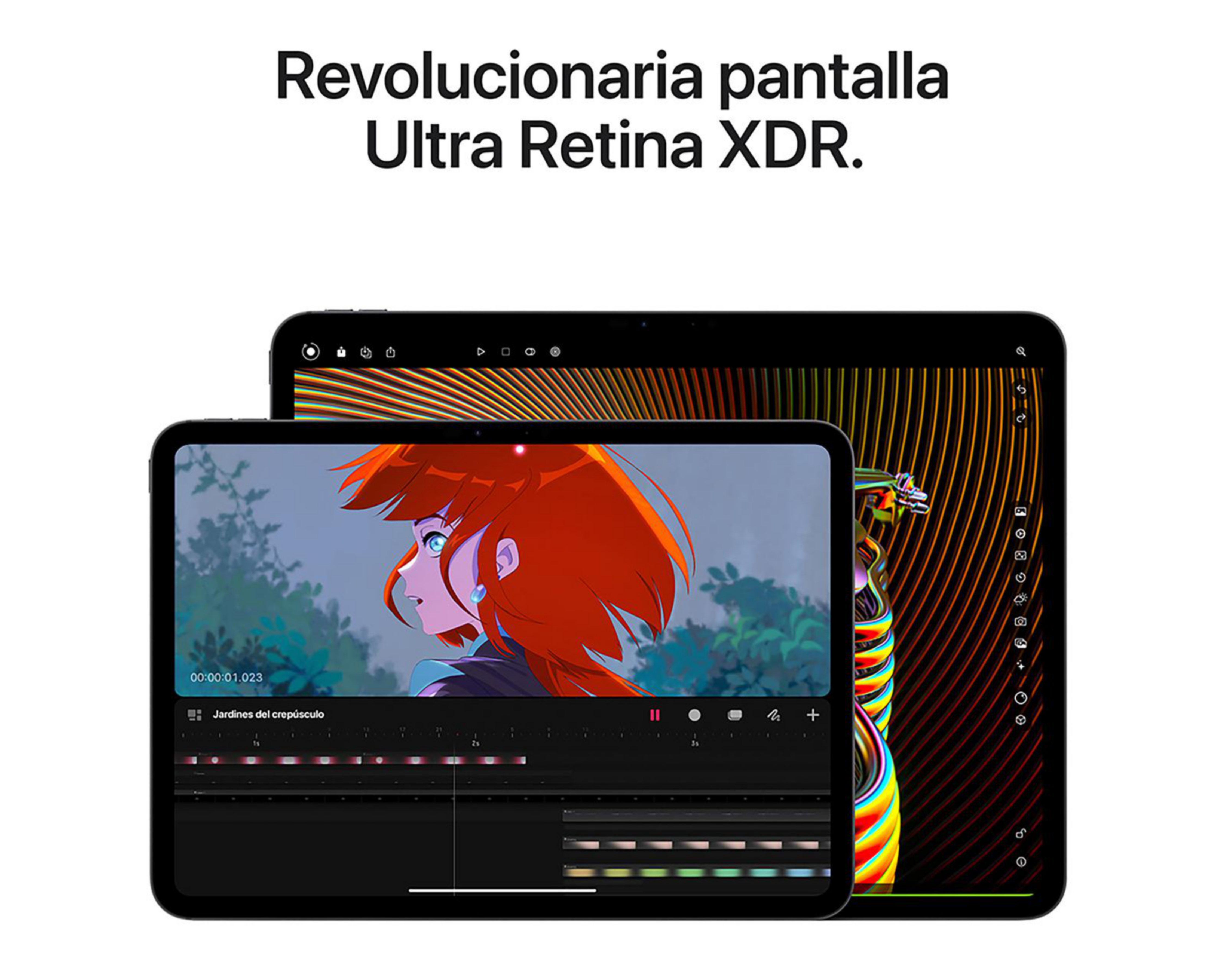 Foto 6 pulgar | iPad Pro 13 Pulgadas 256 GB Plata