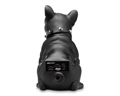 Foto 4 | Bocina Bluetooth Portátil Neo*City D00G1 Recargable