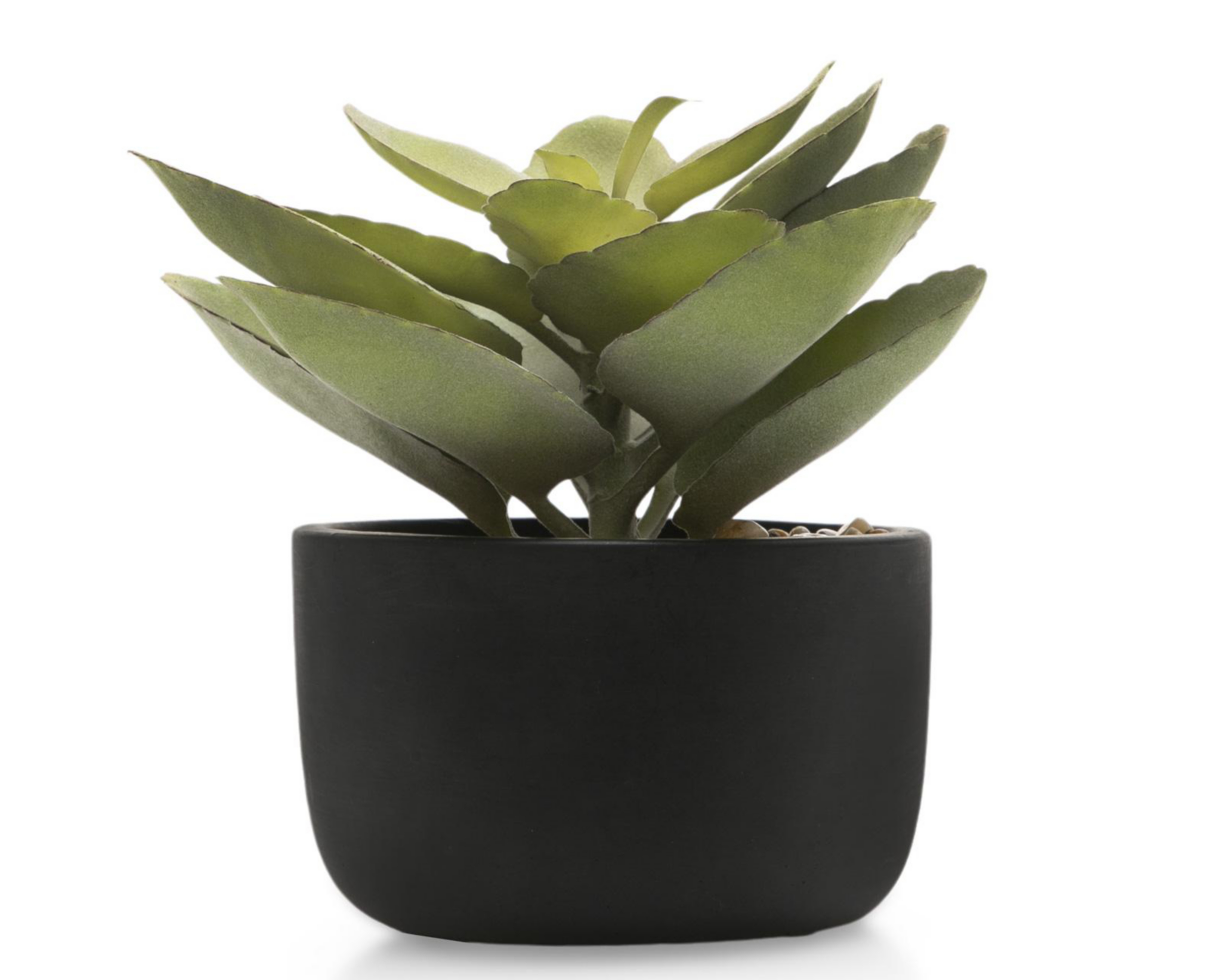 Planta Artificial con Maceta Starhaus 17.5 cm