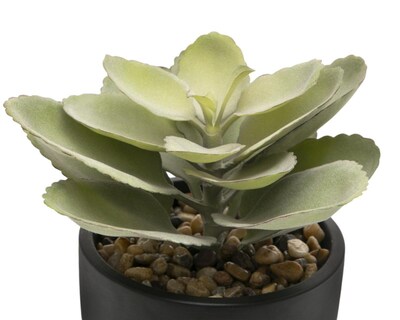 Foto 3 | Planta Artificial con Maceta Starhaus 17.5 cm