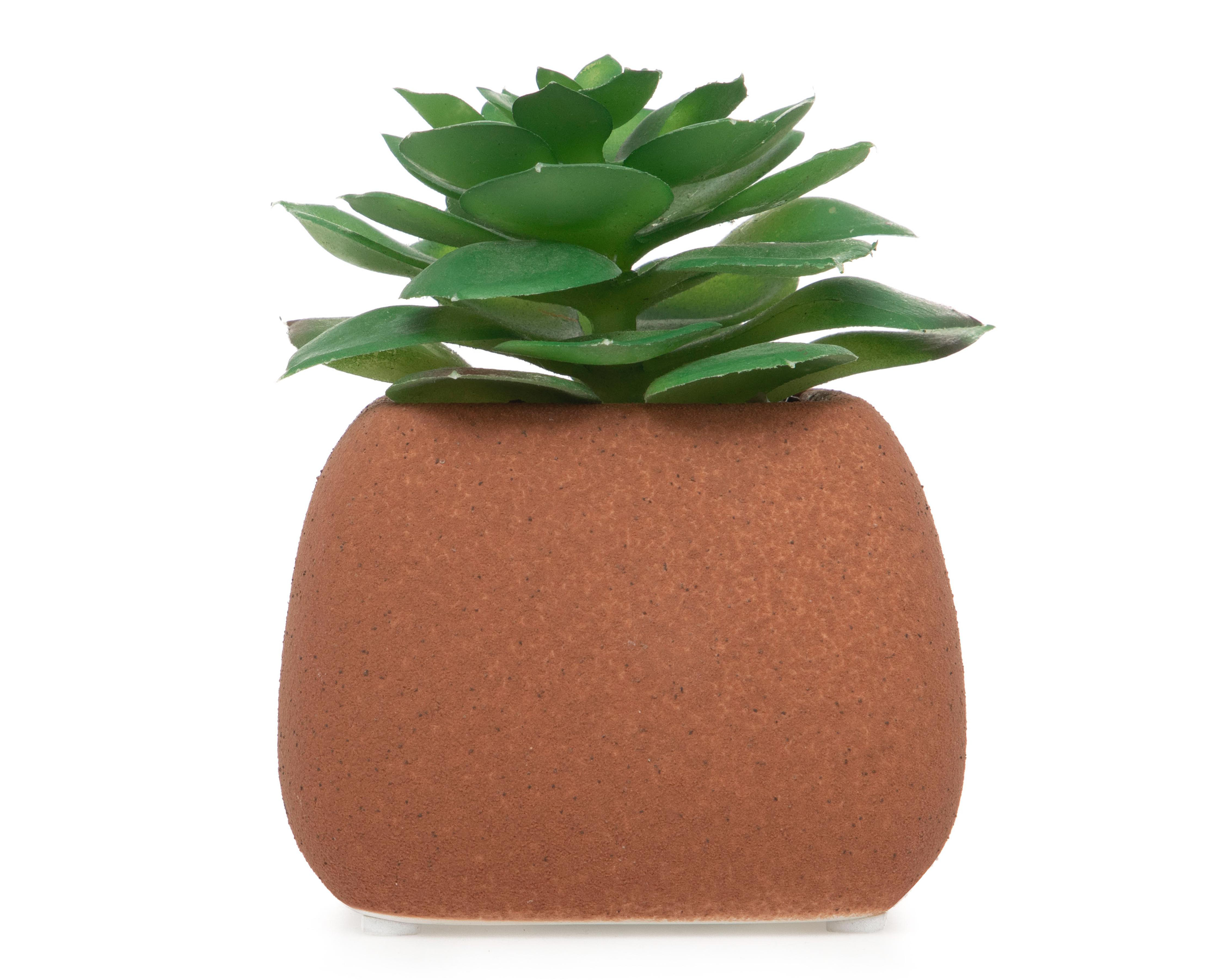 Planta Artificial con Maceta Starhaus 7 cm