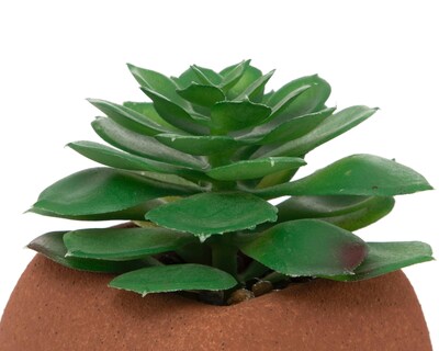 Foto 3 | Planta Artificial con Maceta Starhaus 7 cm