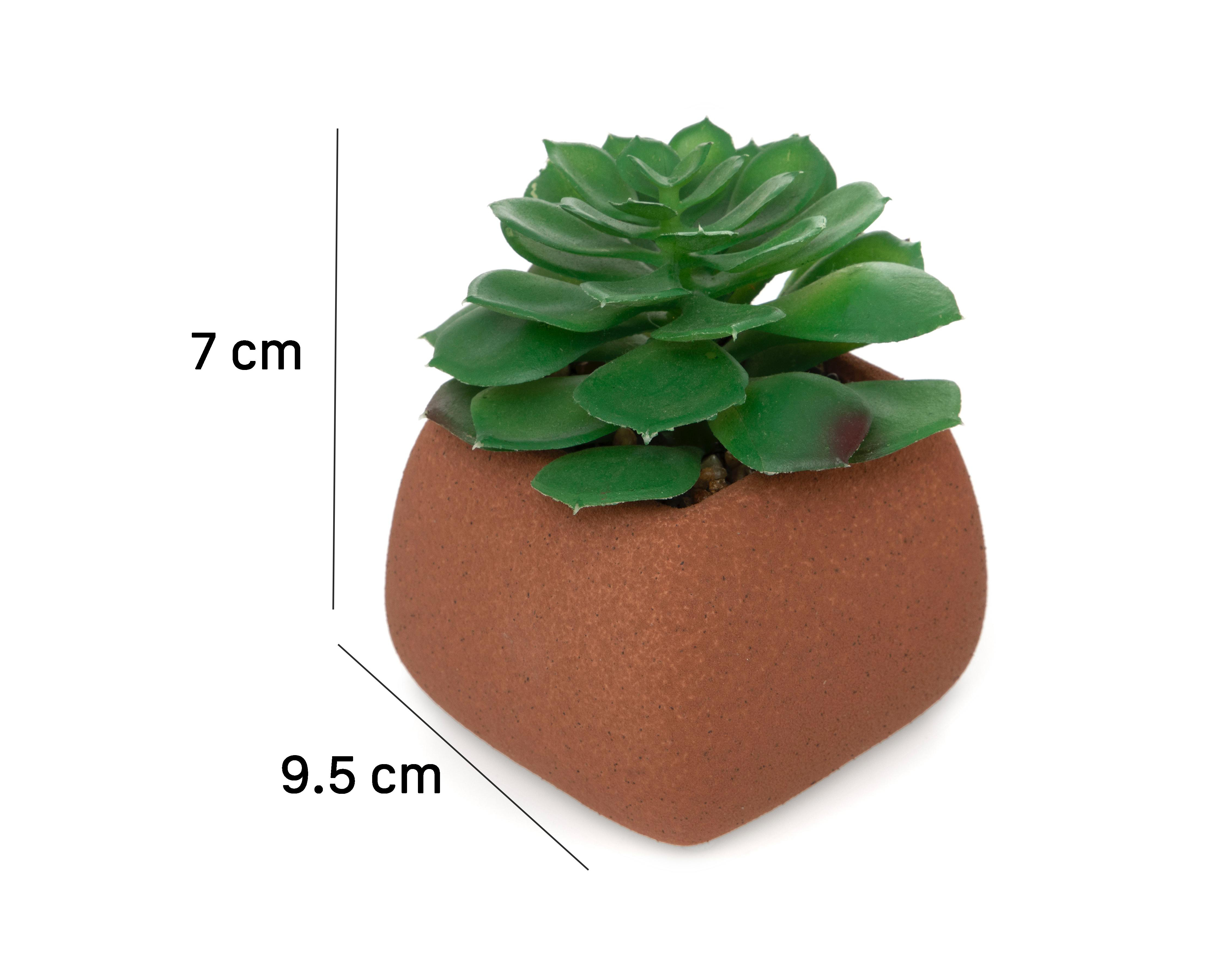 Foto 5 | Planta Artificial con Maceta Starhaus 7 cm