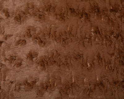 Foto 4 | Cojín Decorativo Ginger