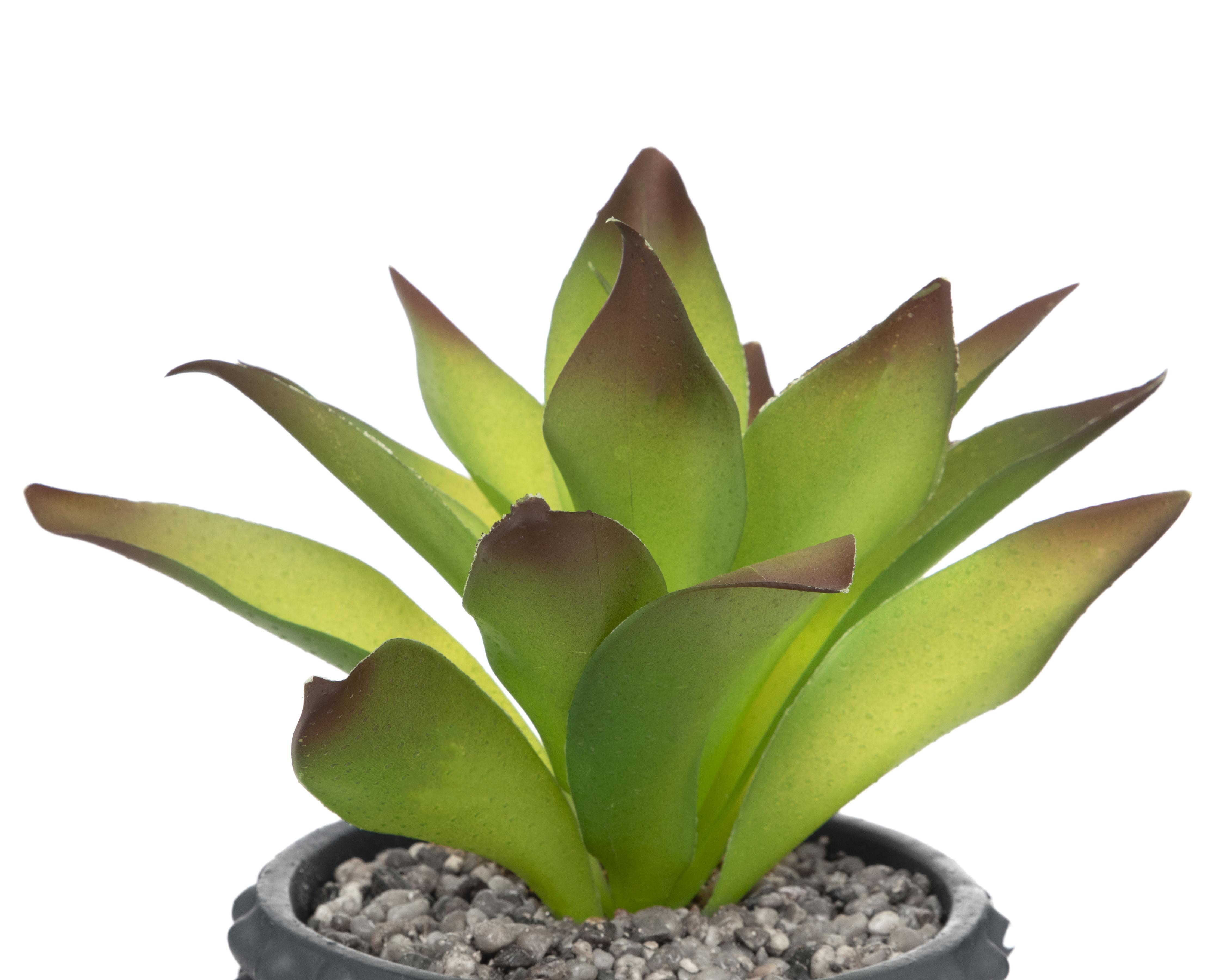 Foto 4 pulgar | Planta Artificial con Maceta Starhaus 14 cm