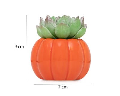 Foto 5 | Planta Artificial con Maceta Starhaus 8 cm