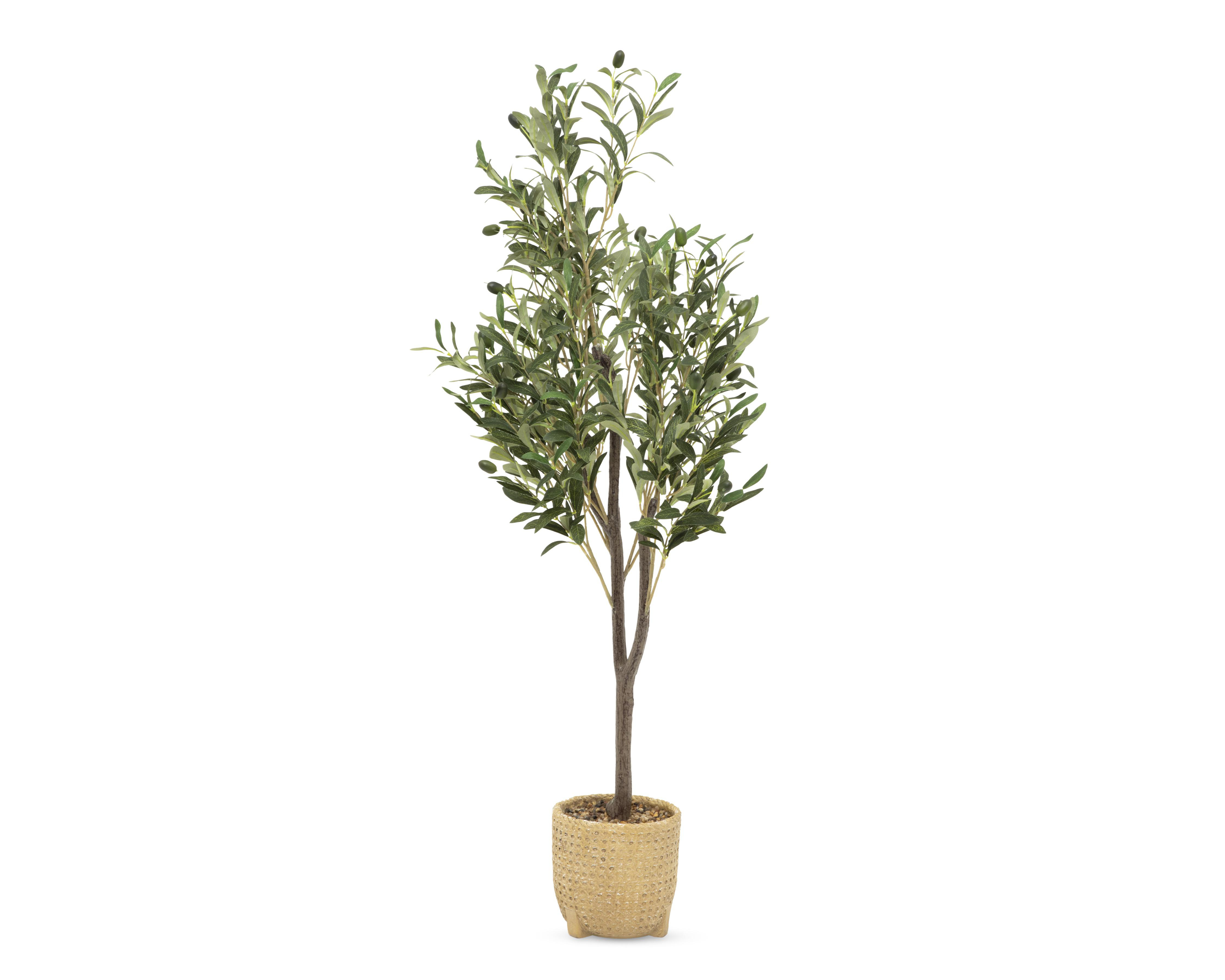 Foto 3 pulgar | Árbol de Olivo en Maceta Starhaus 114 cm