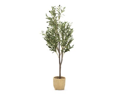 Foto 2 | Árbol de Olivo en Maceta Starhaus 114 cm