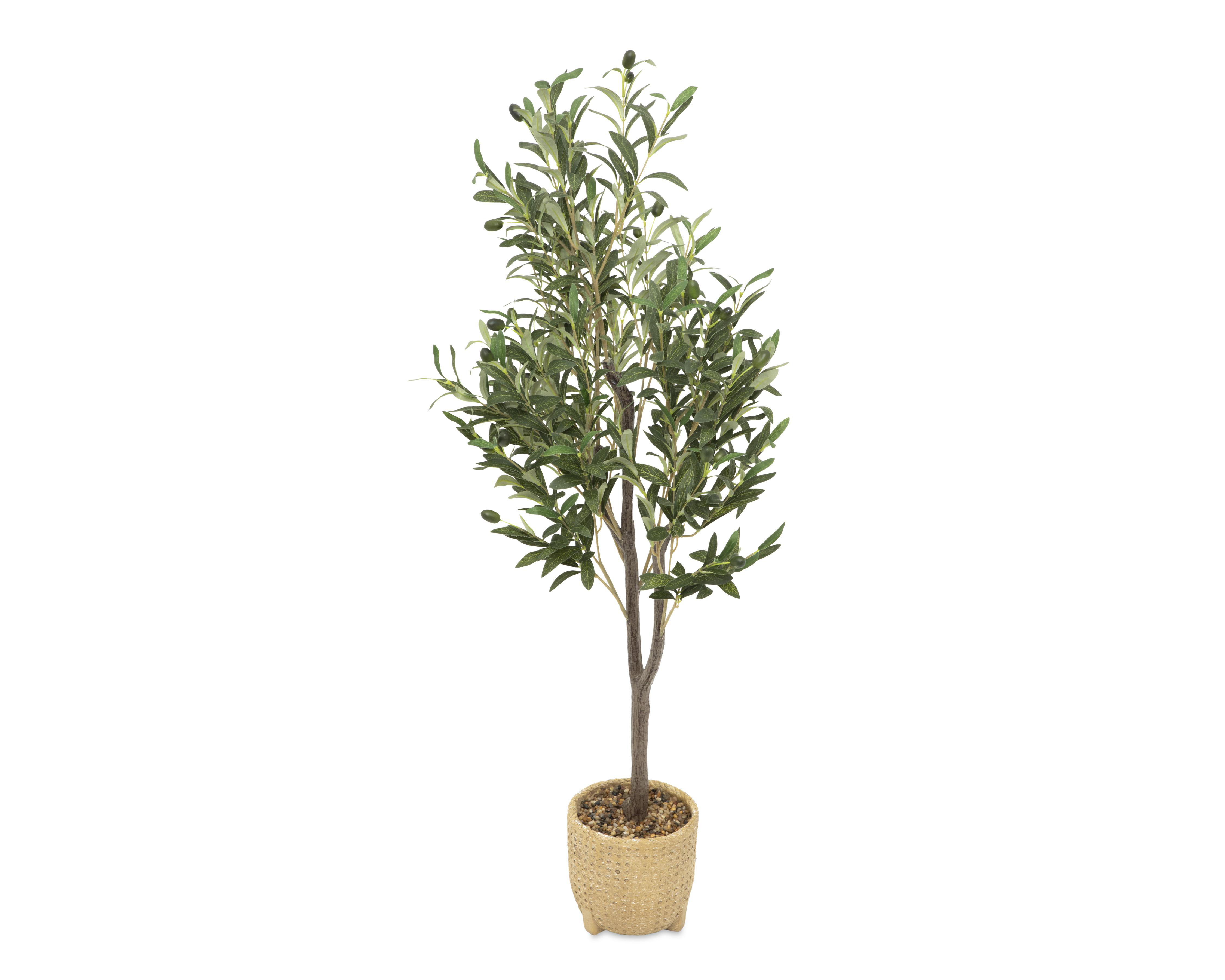 Foto 4 pulgar | Árbol de Olivo en Maceta Starhaus 114 cm