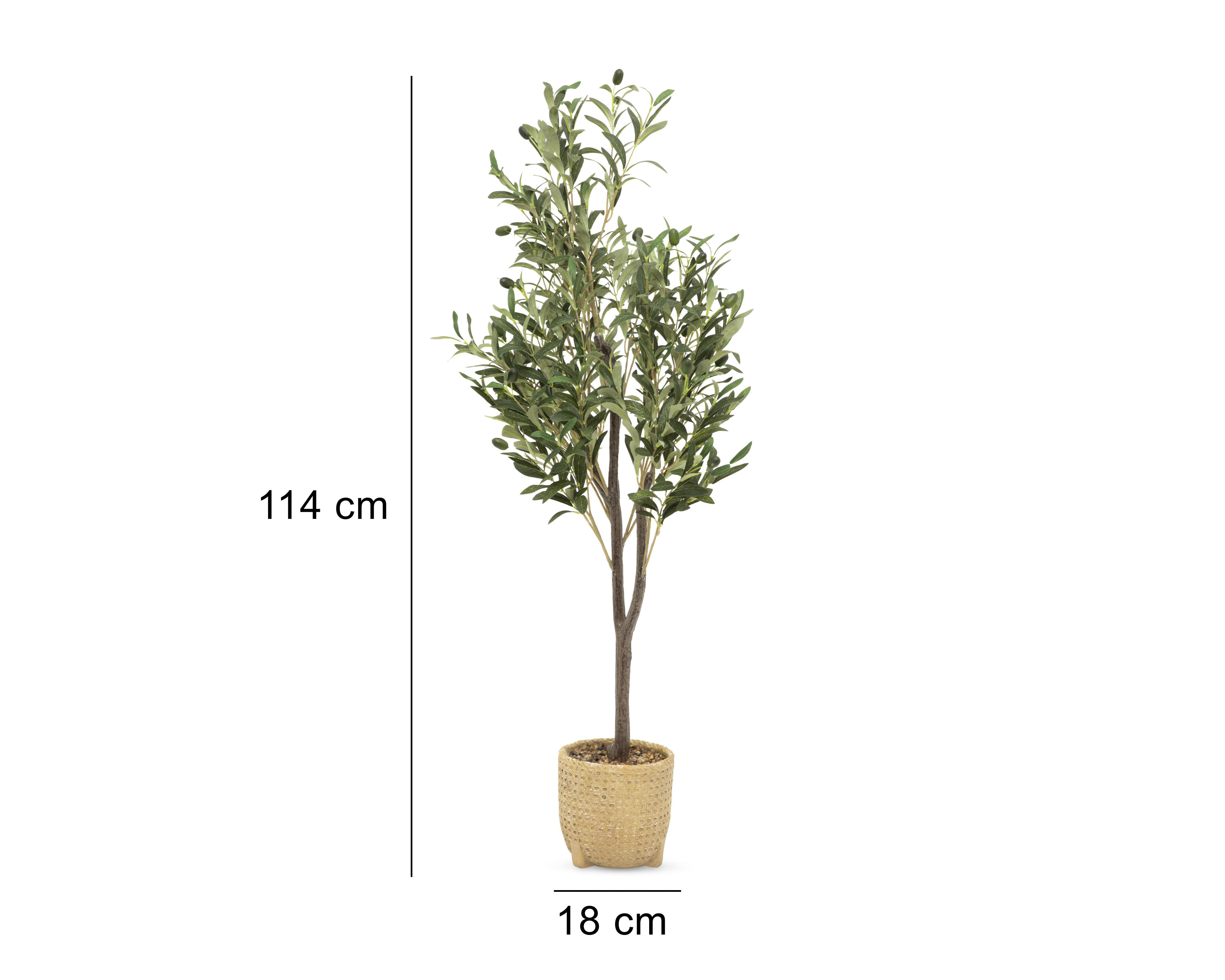 Foto 6 pulgar | Árbol de Olivo en Maceta Starhaus 114 cm