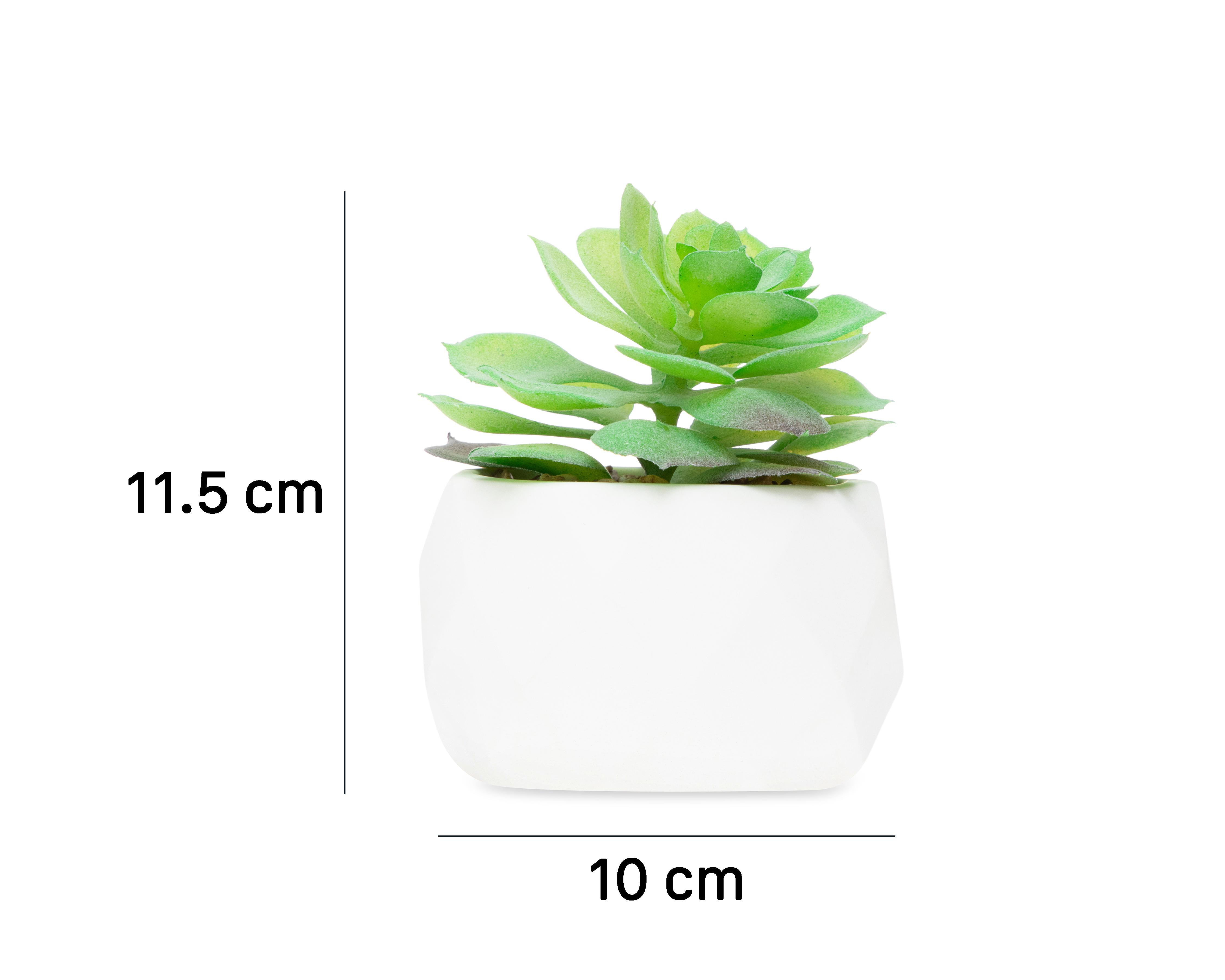 Foto 5 | Planta Artificial con Maceta Starhaus 11.5 cm