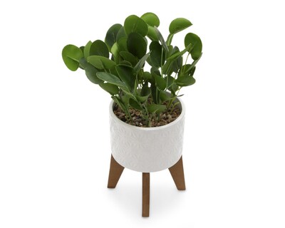 Foto 2 | Planta Artificial con Maceta Starhaus 38 cm