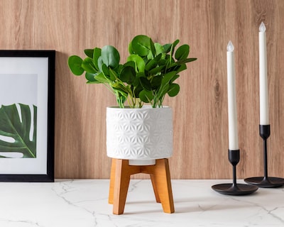 Foto 4 | Planta Artificial con Maceta Starhaus 38 cm