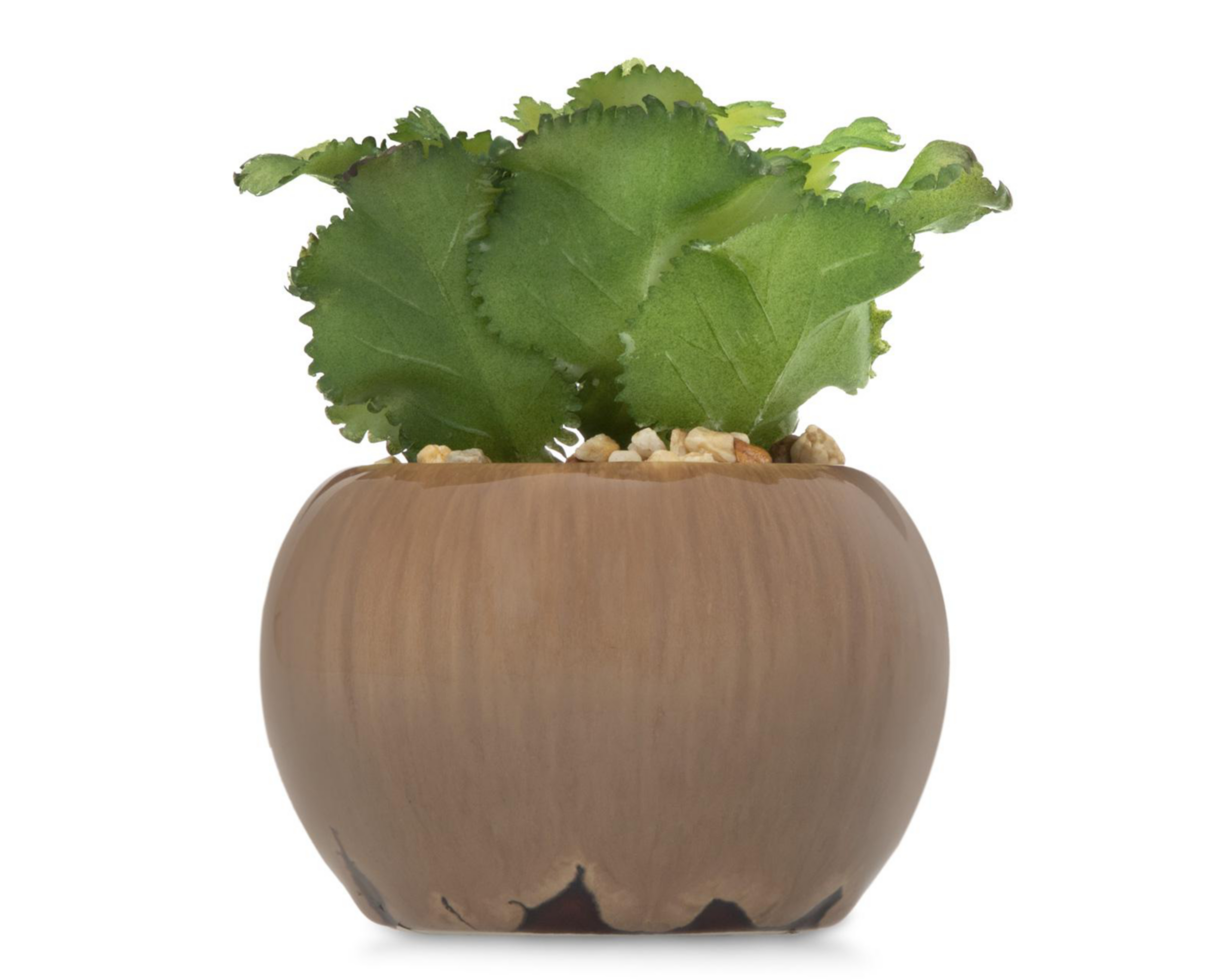 Planta Artificial con Maceta Starhaus 10 cm $49