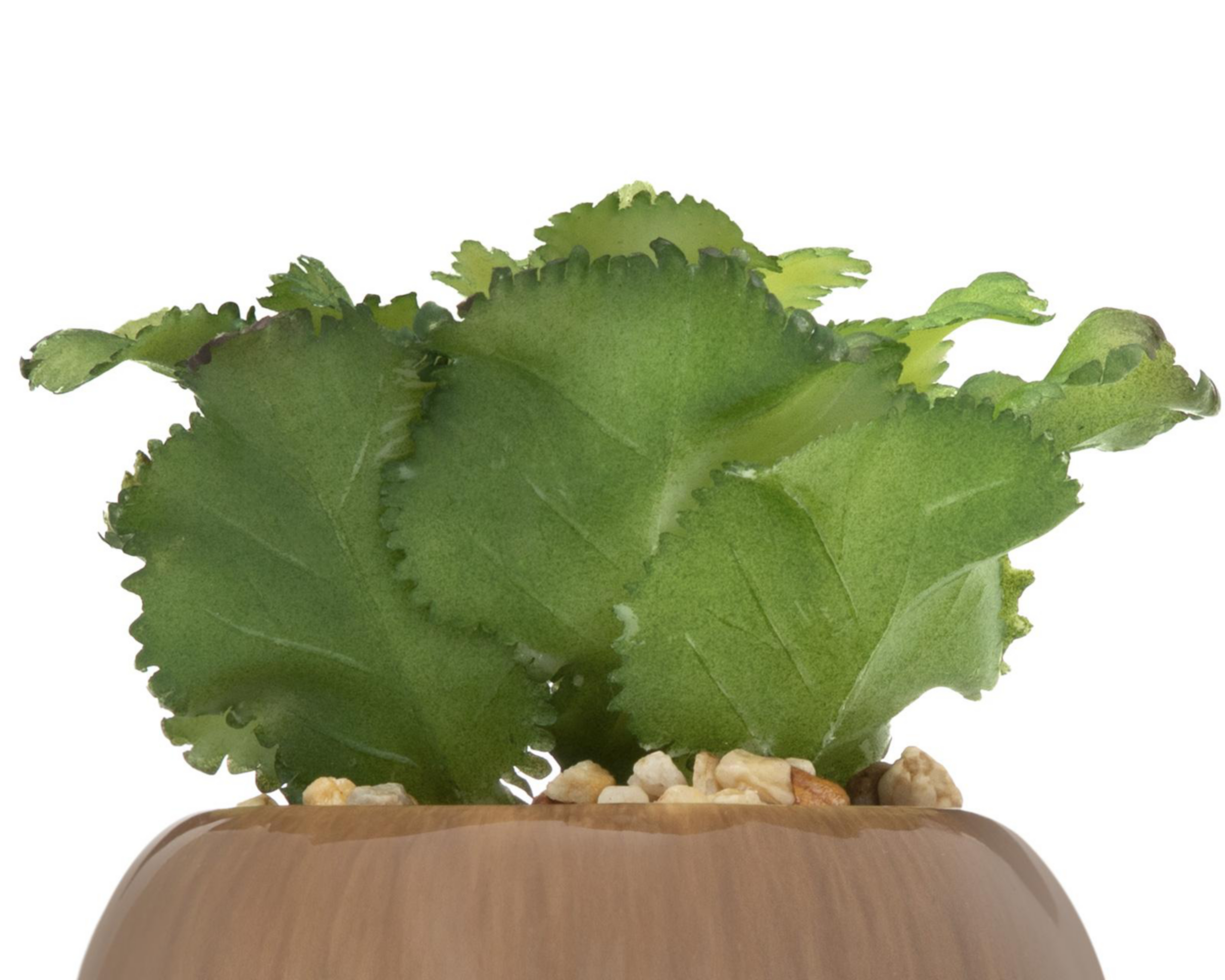 Foto 4 pulgar | Planta Artificial con Maceta Starhaus 10 cm