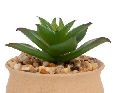 Foto 3 | Planta Artificial con Maceta Starhaus 7.5 cm