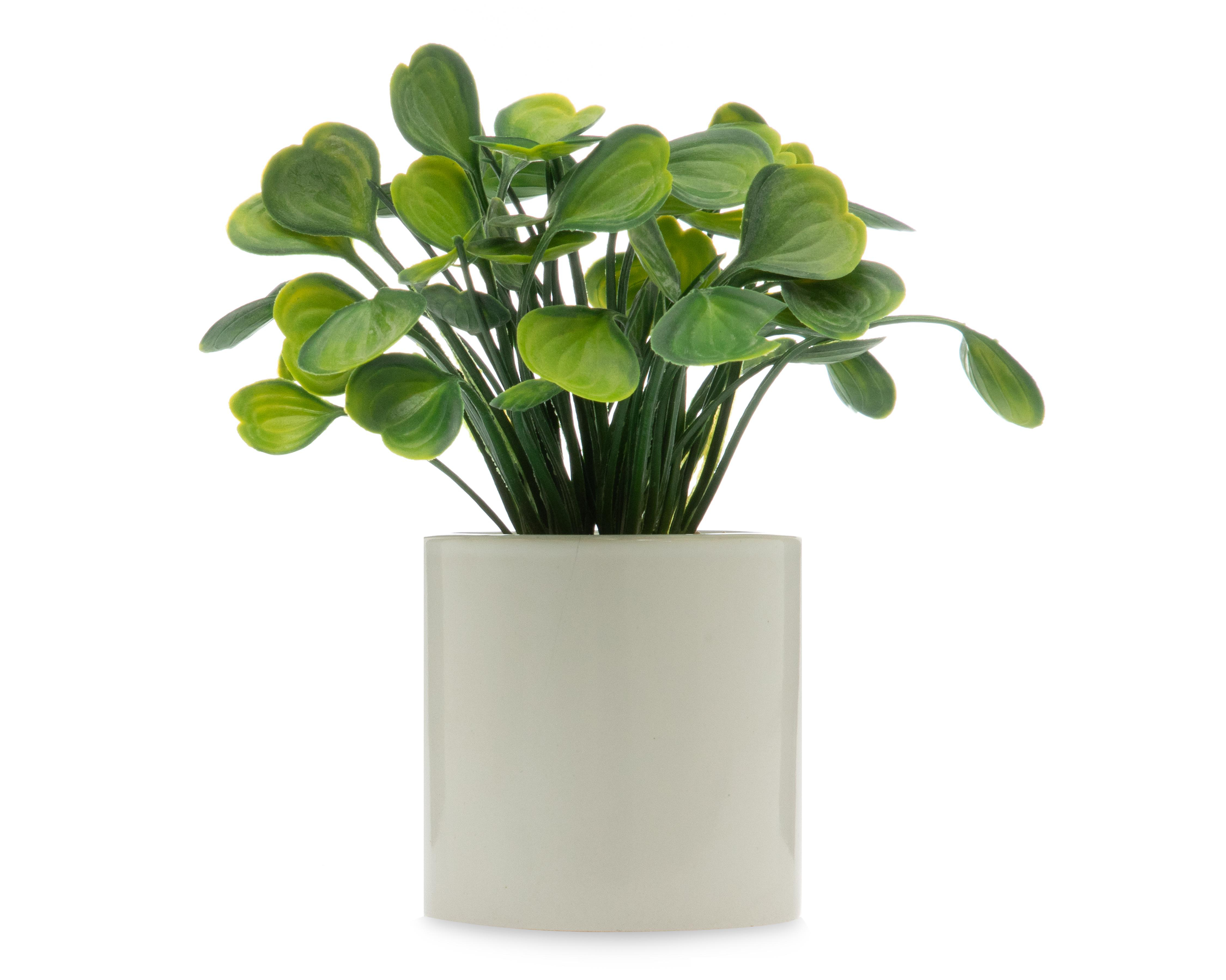 Foto 3 pulgar | Planta Artificial con Maceta Starhaus 17 cm