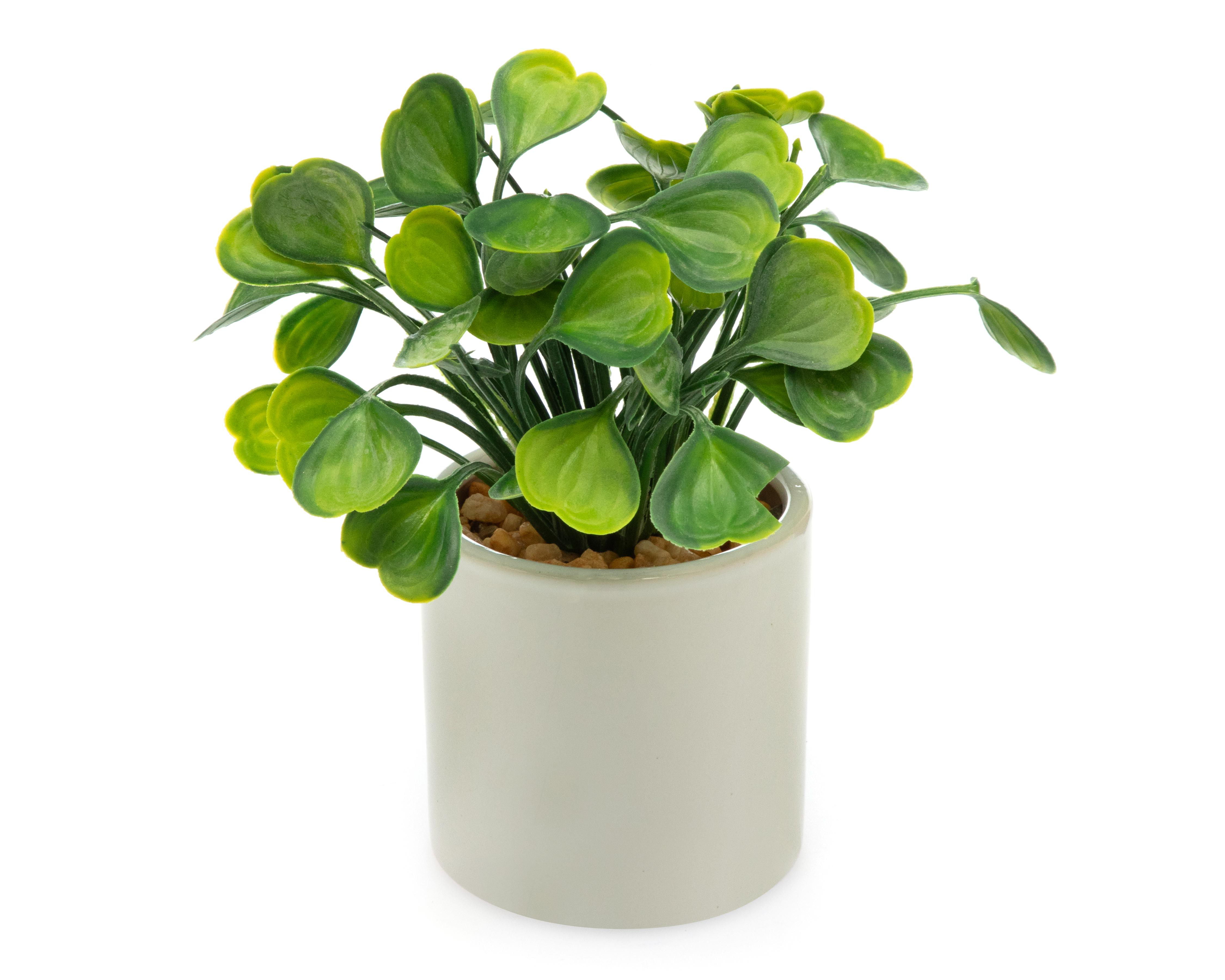 Foto 4 pulgar | Planta Artificial con Maceta Starhaus 17 cm