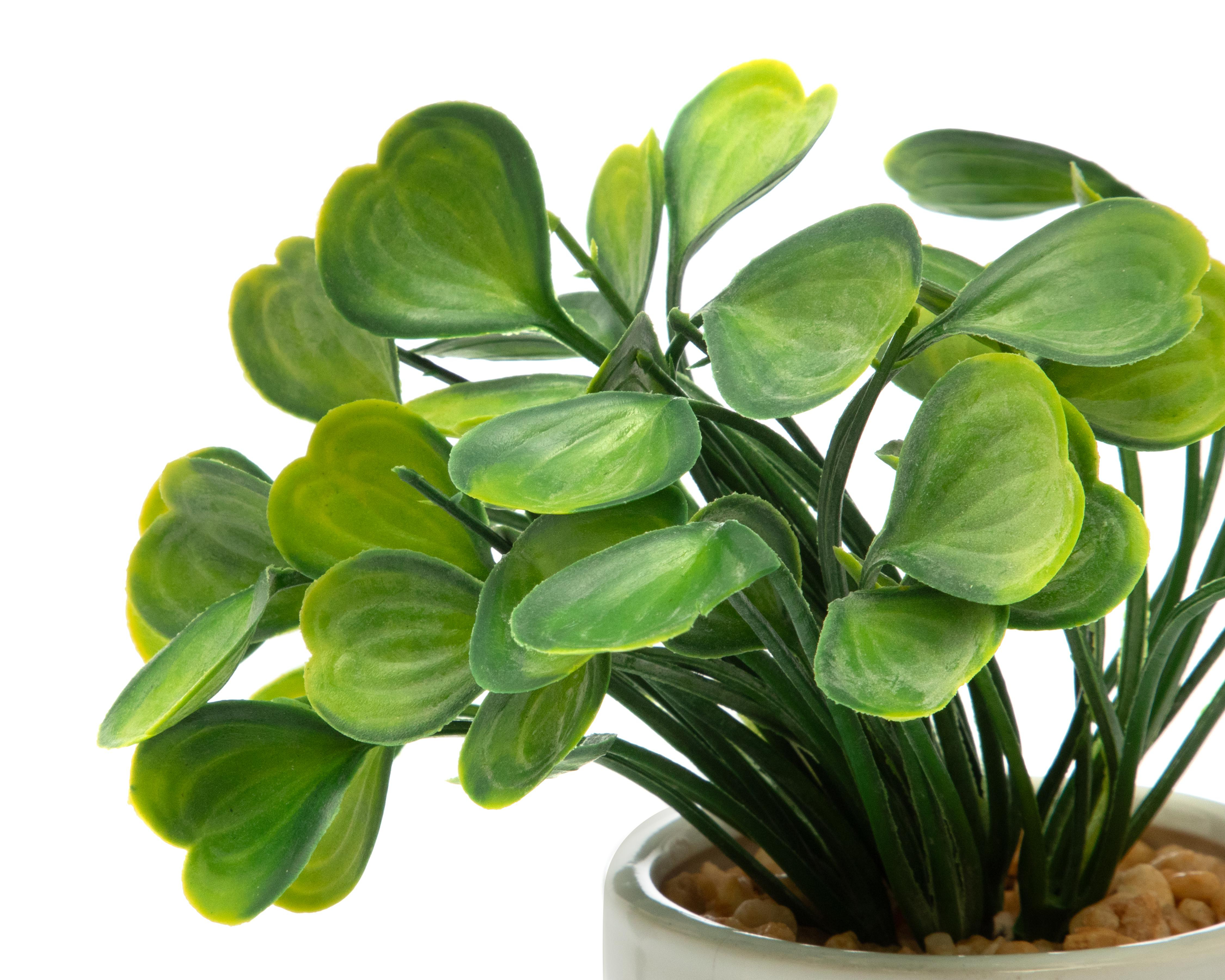 Foto 5 pulgar | Planta Artificial con Maceta Starhaus 17 cm