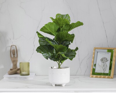 Foto 4 | Planta Artificial con Maceta Starhaus 52 cm
