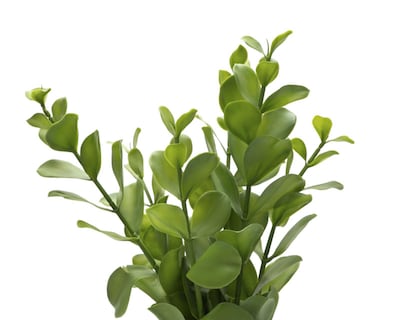 Foto 3 | Planta Artificial con Maceta Starhaus 48 cm