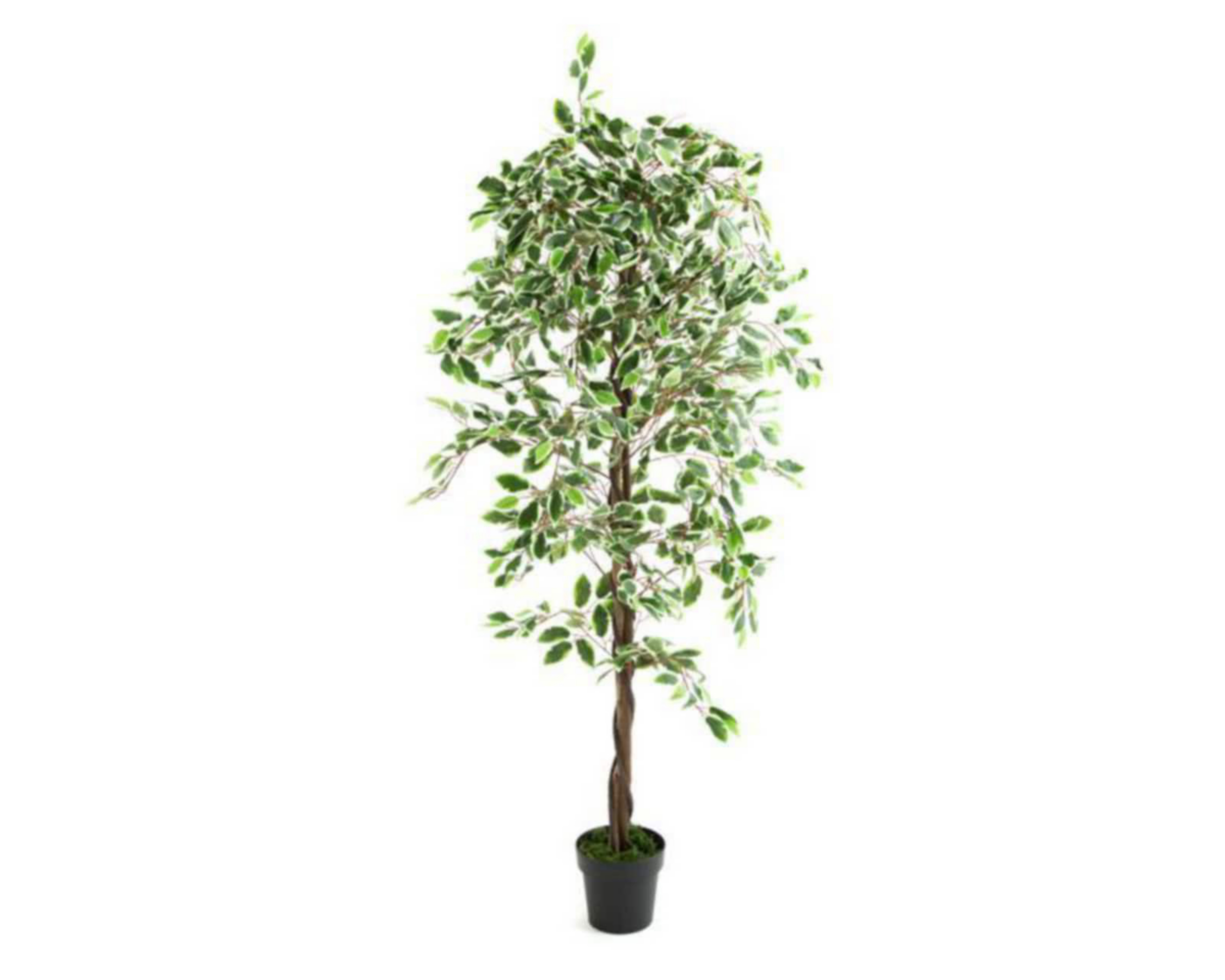 Árbol Decorativo Jacky de 188 cm