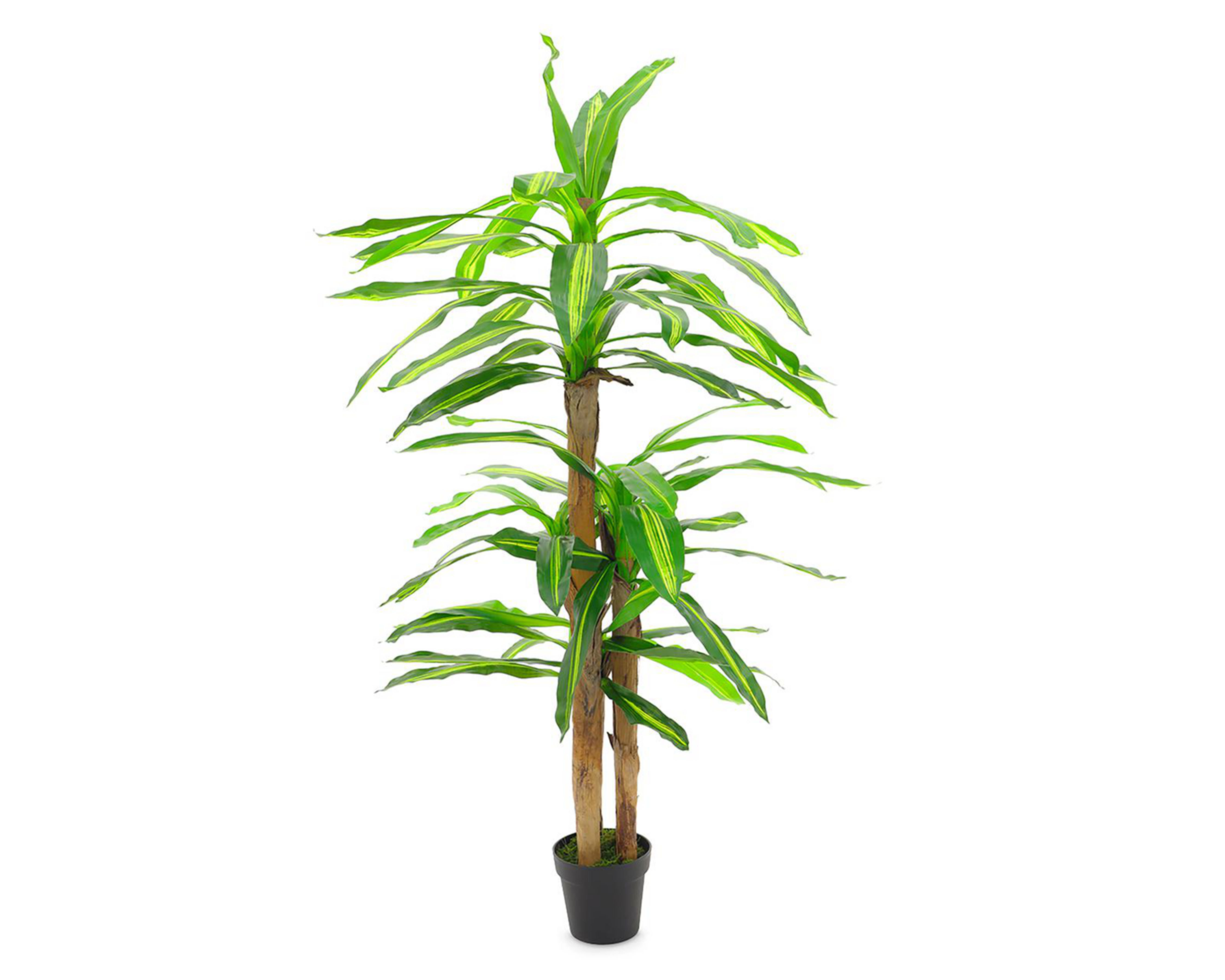 Planta Artificial Jade 160 cm