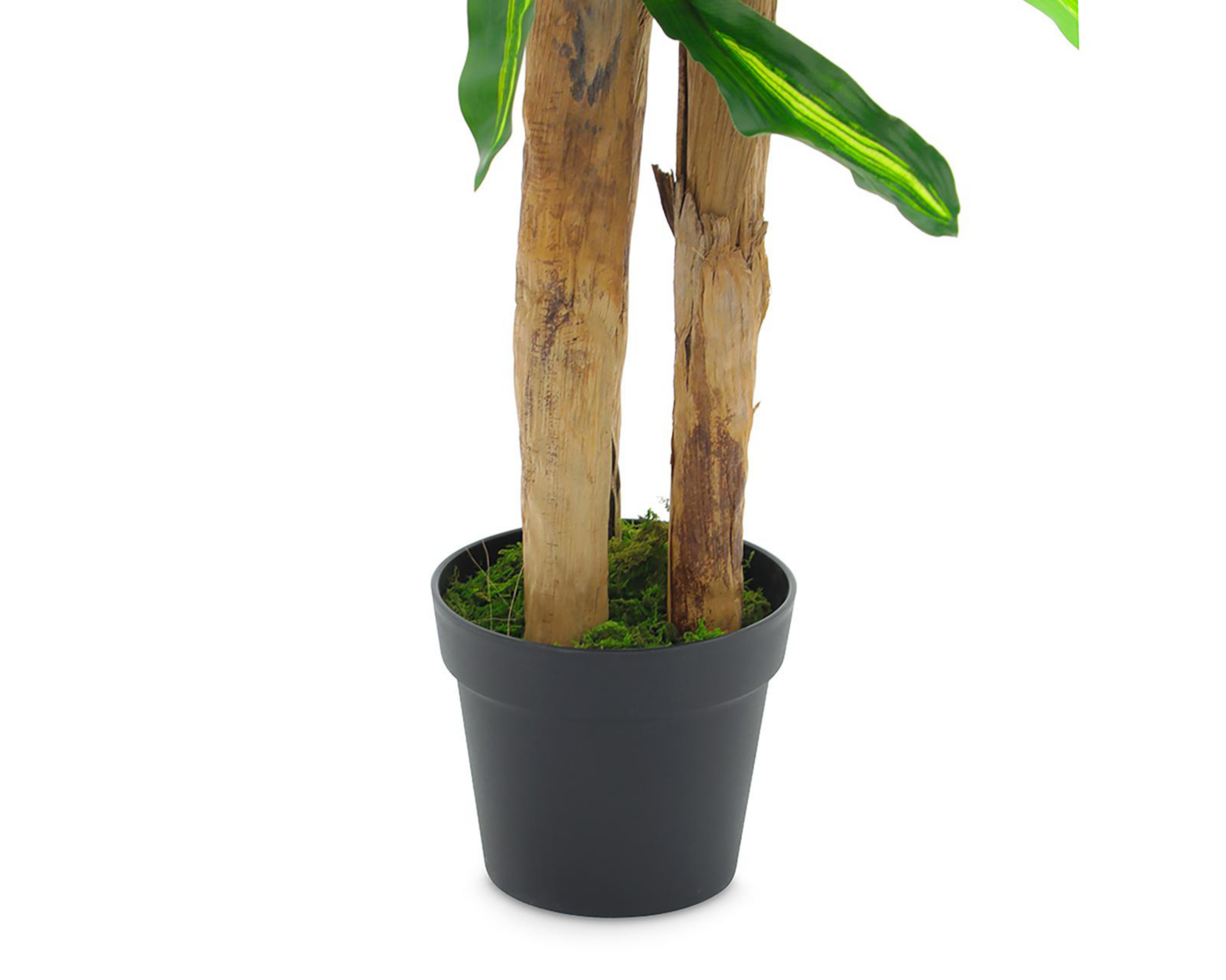 Foto 2 | Planta Artificial Jade 160 cm