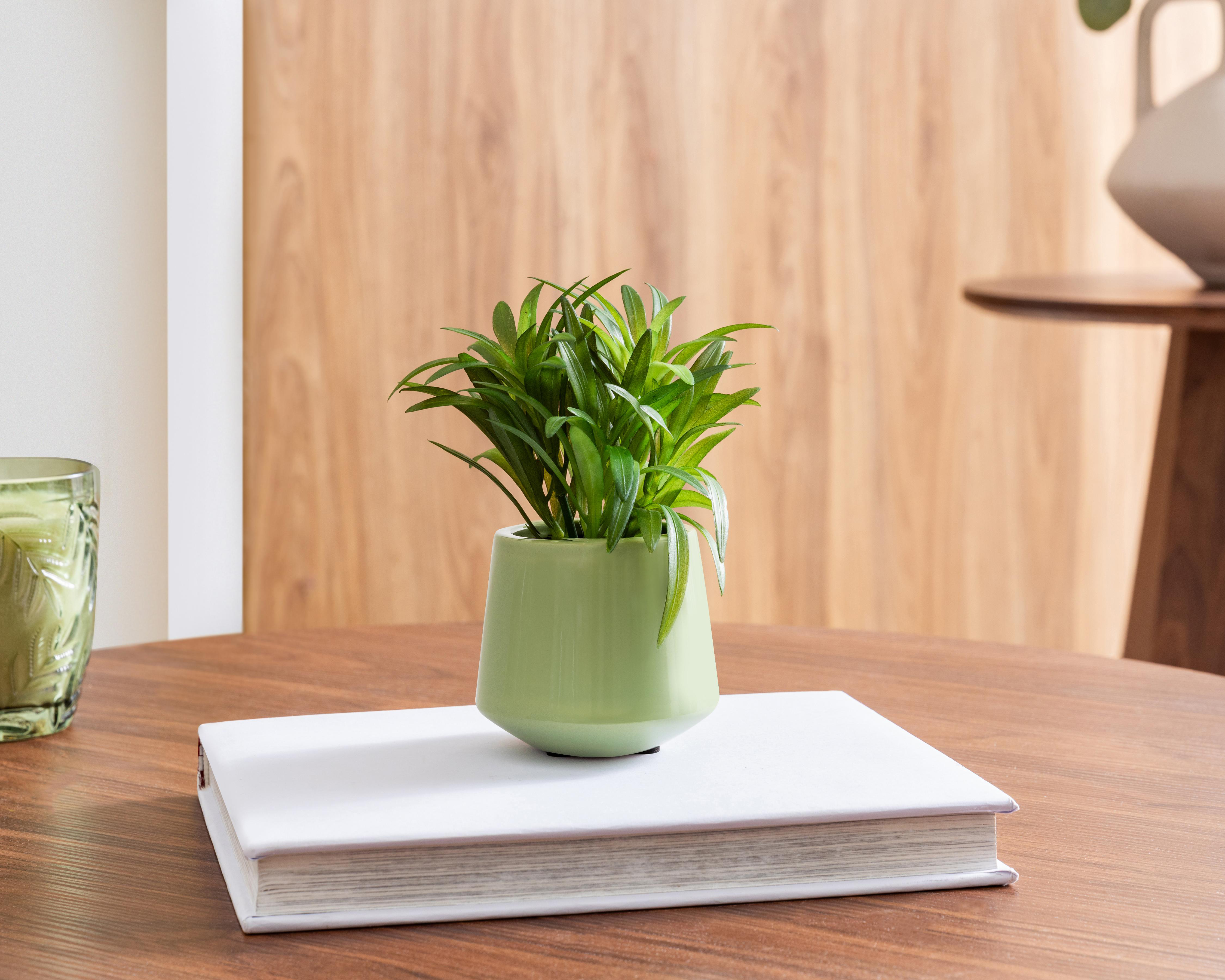 Foto 4 | Planta Artificial con Maceta Starhaus 16 cm