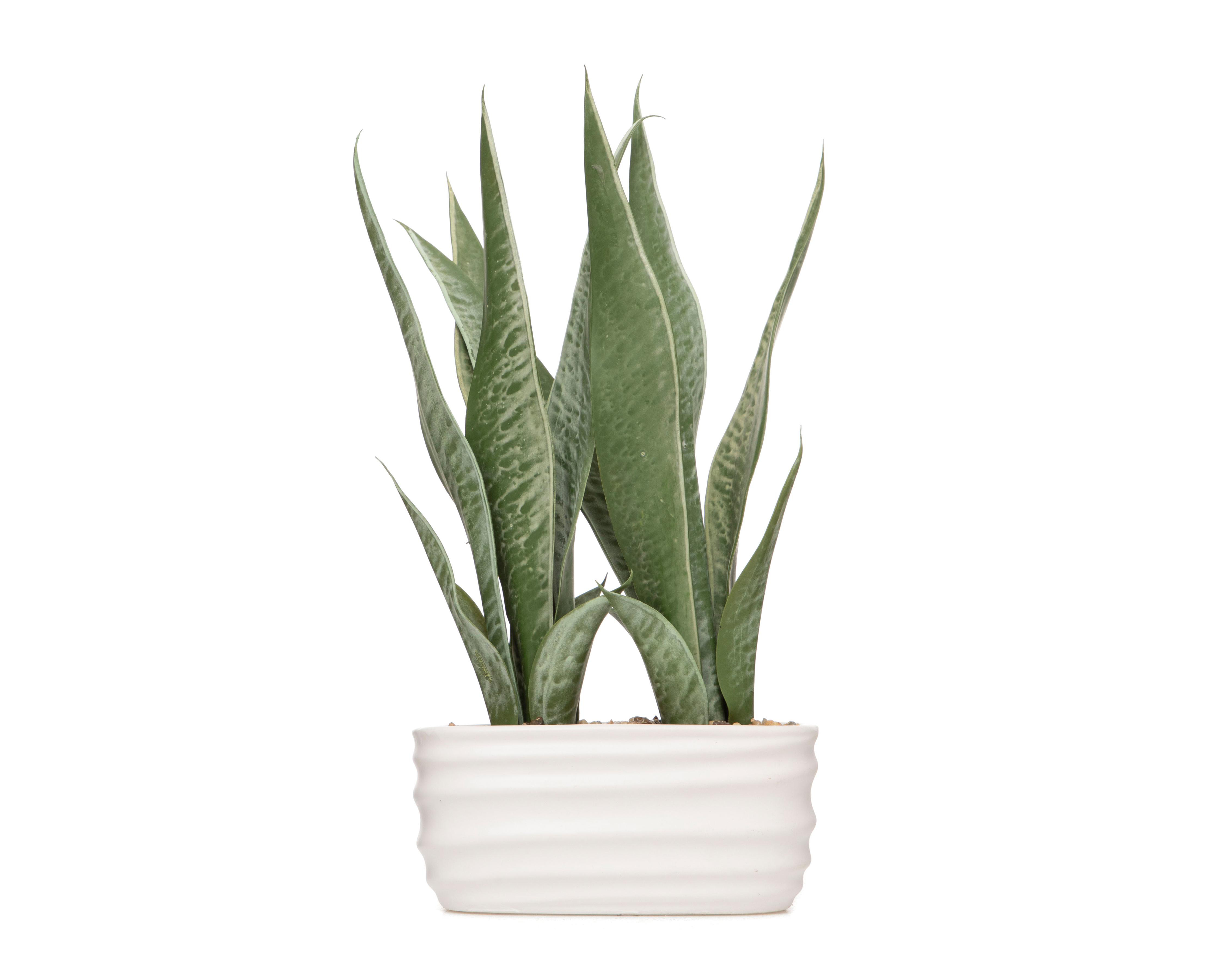 Planta Artificial con Maceta Starhaus 40 cm