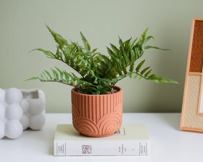 Foto 4 | Planta Artificial con Maceta Starhaus 24 cm