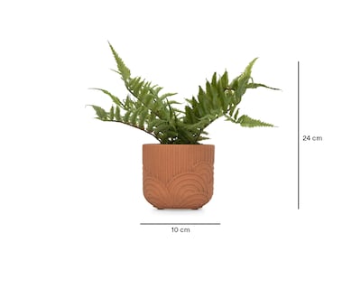 Foto 5 | Planta Artificial con Maceta Starhaus 24 cm