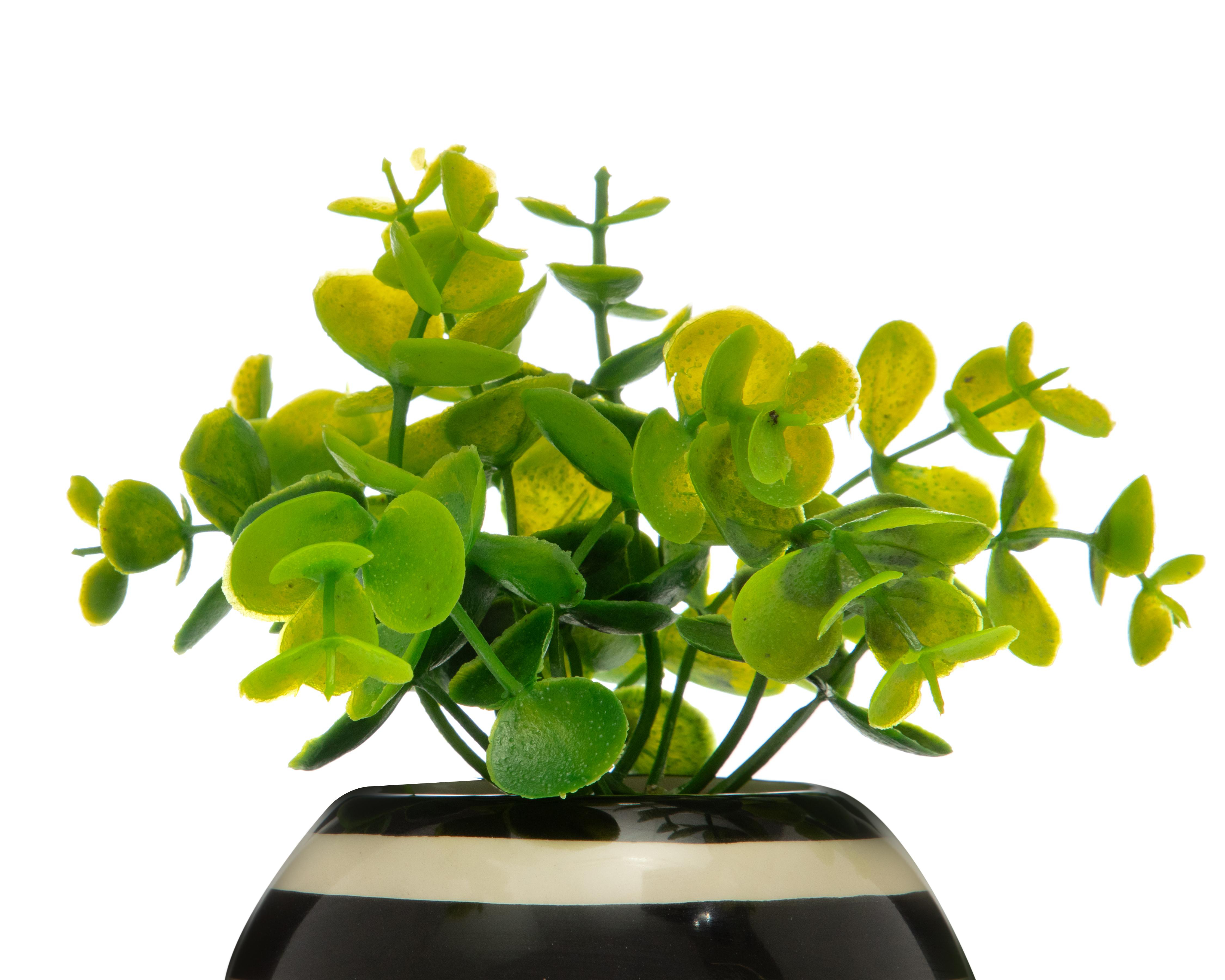 Foto 4 pulgar | Planta Artificial con Maceta Starhaus 16 cm