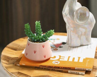 Foto 4 | Planta Artificial con Maceta Starhaus 13.3 cm