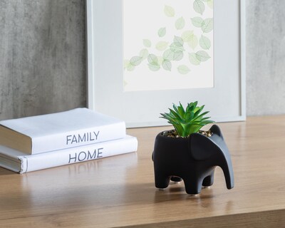 Foto 4 | Planta Artificial con Maceta Starhaus 13 cm