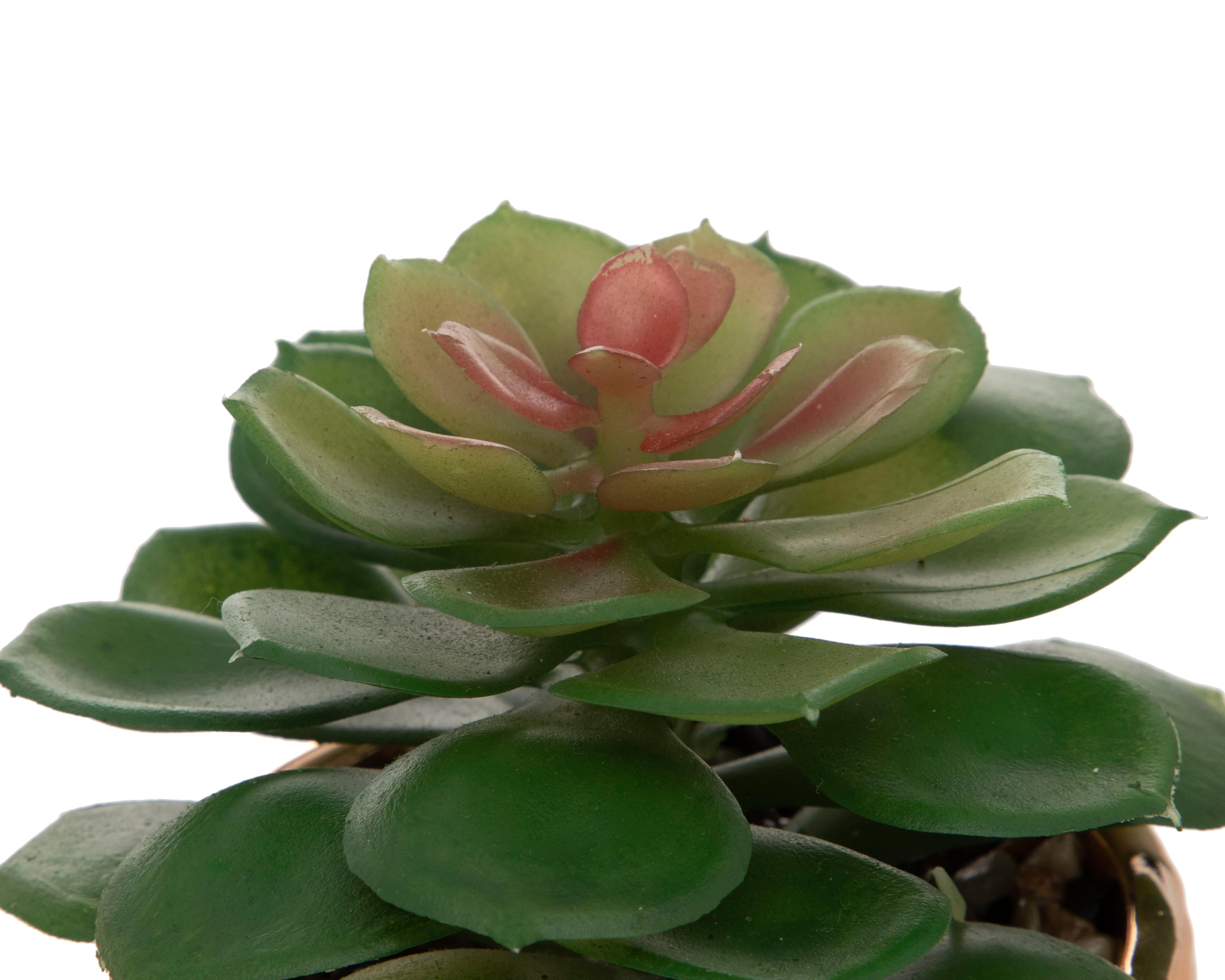 Foto 4 pulgar | Planta Artificial con Maceta Starhaus 16 cm